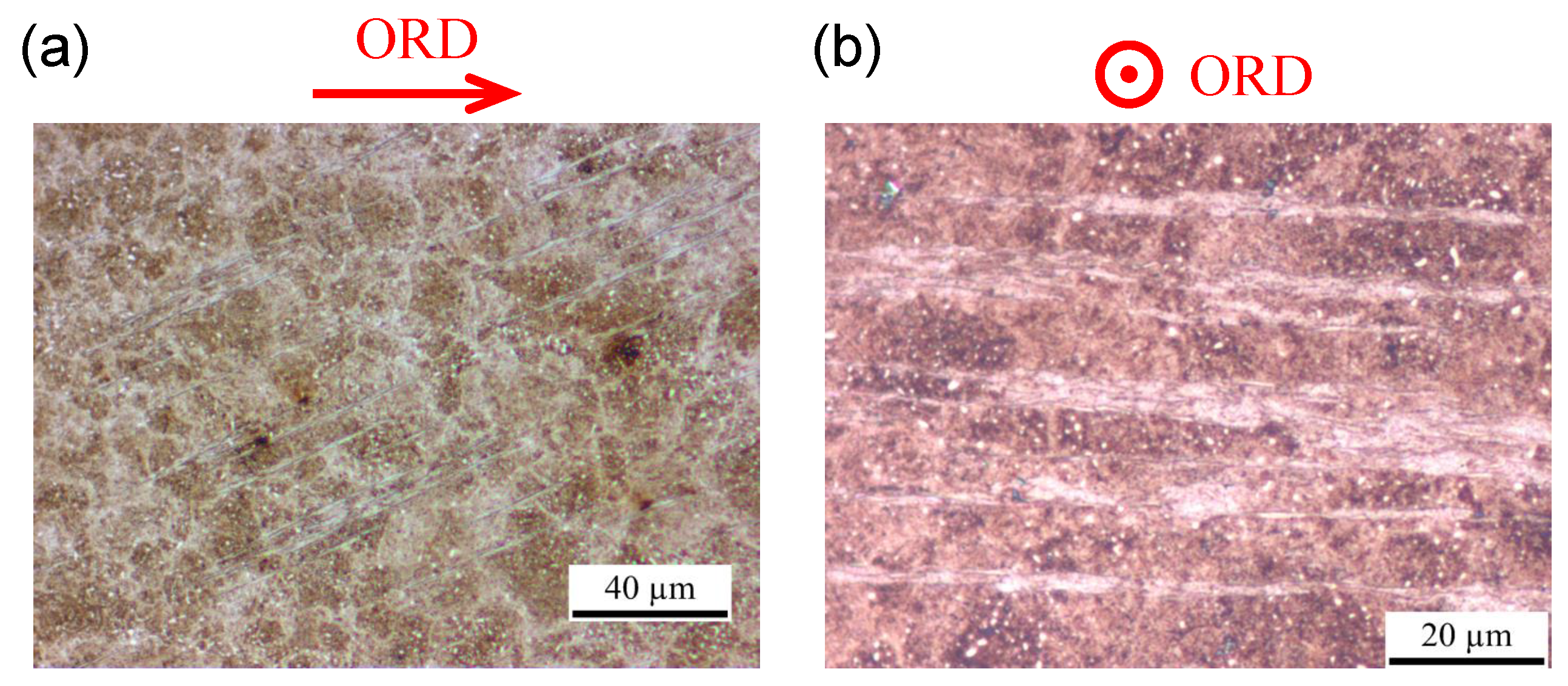 Metals 09 00491 g001 550