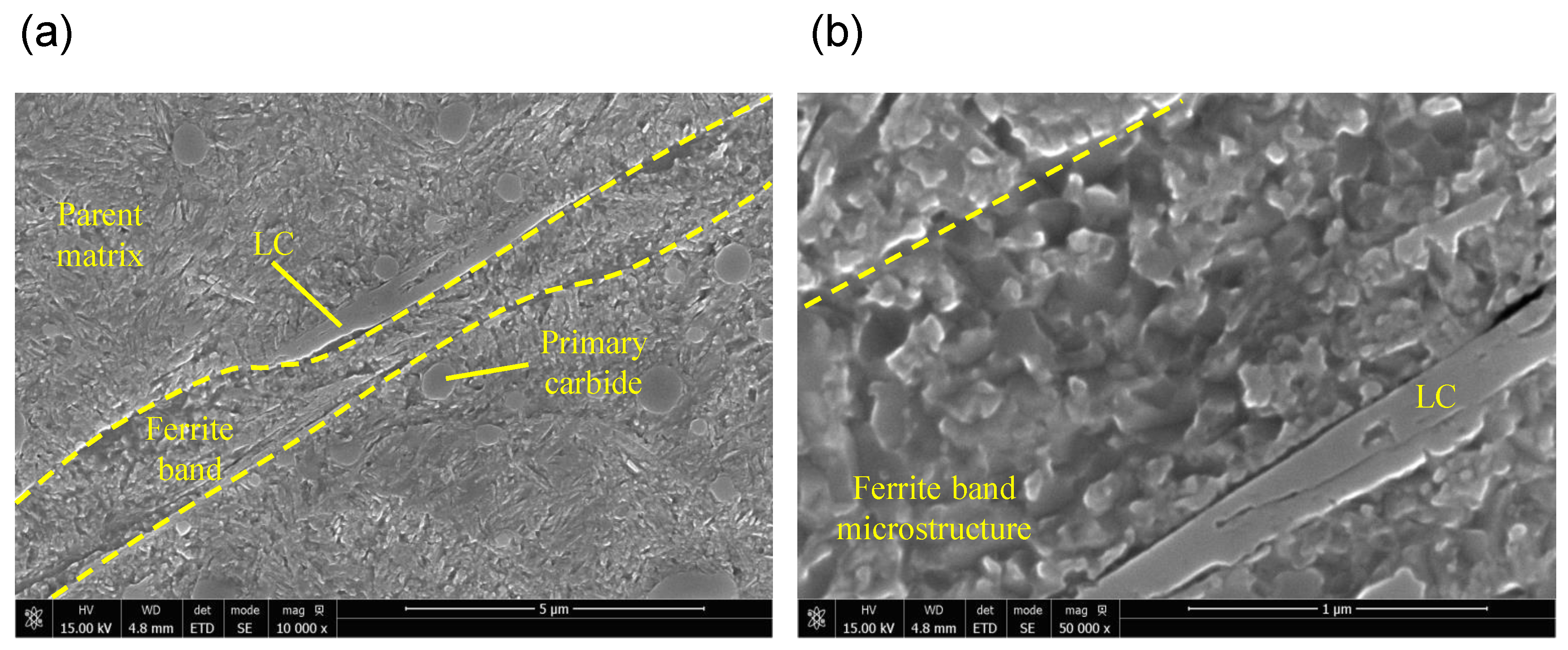 Metals 09 00491 g005 550