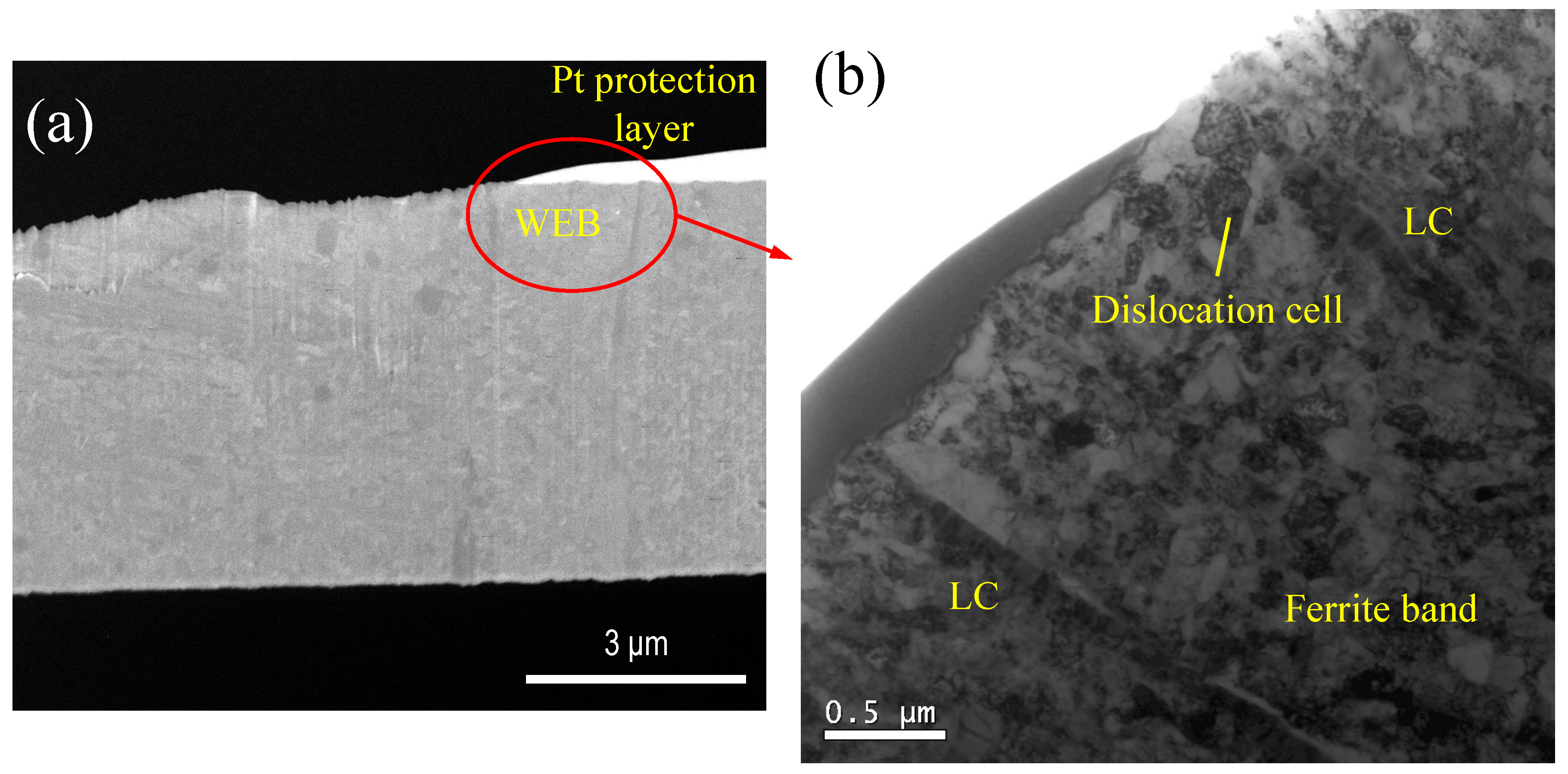 Metals 09 00491 g007a 550