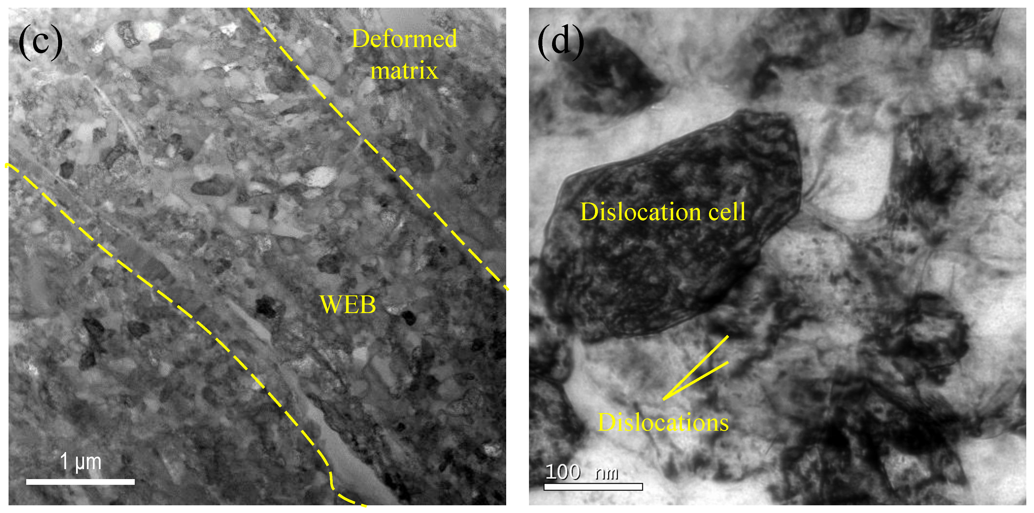 Metals 09 00491 g007b 550