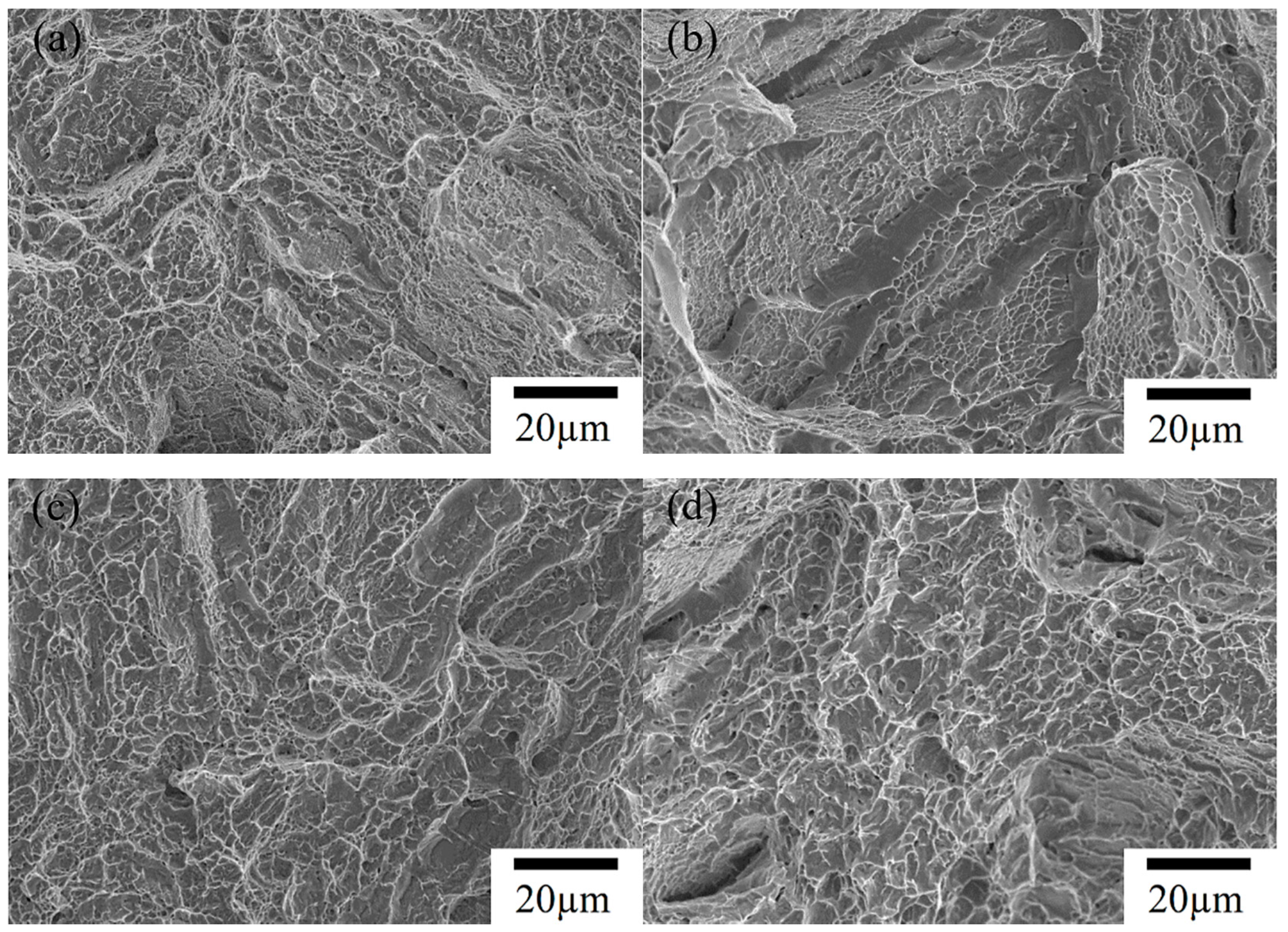 Metals 09 00501 g008