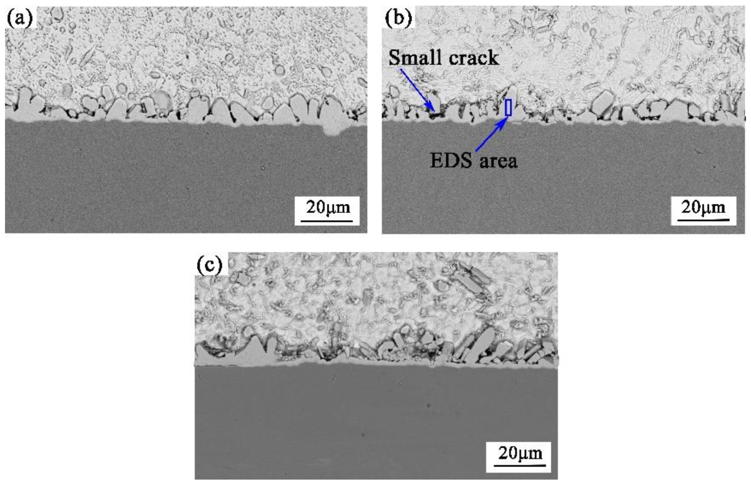 Metals 09 00518 g005 550