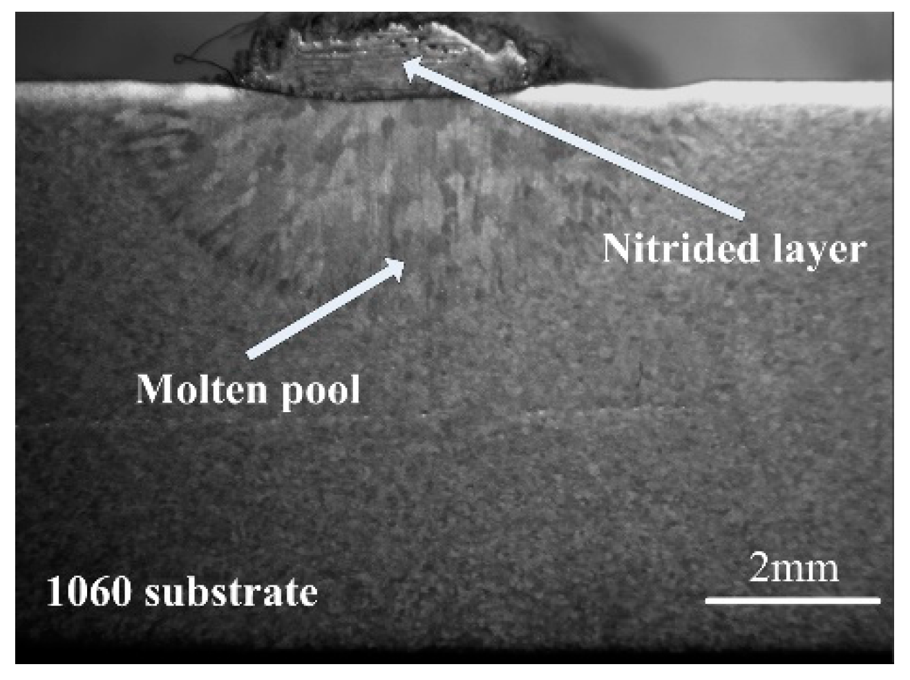 Metals 09 00523 g002 550