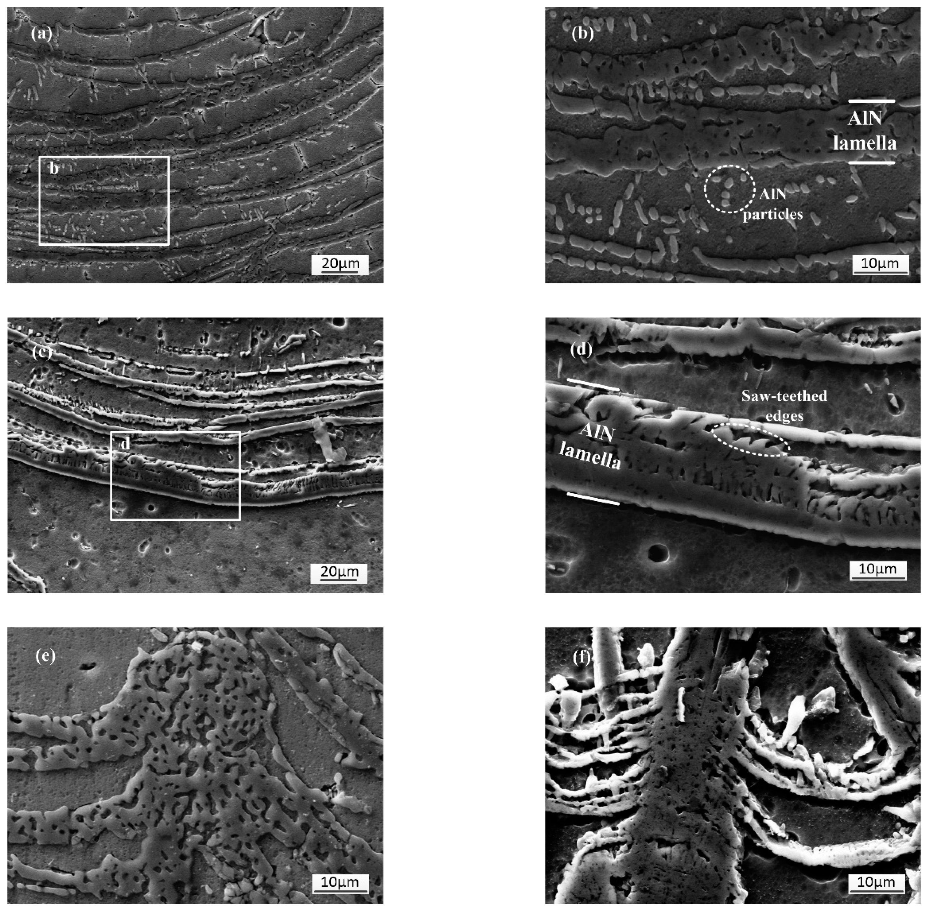 Metals 09 00523 g007 550