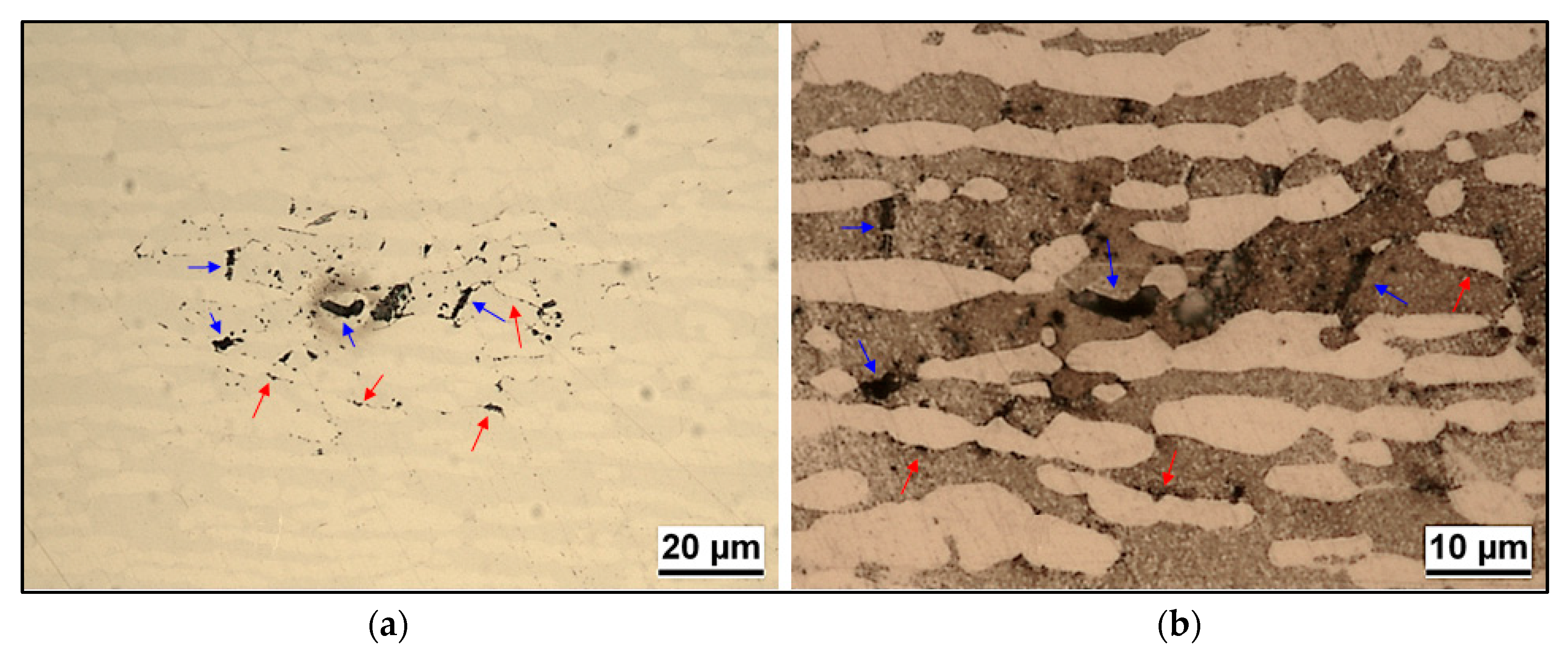 Metals 09 00529 g006