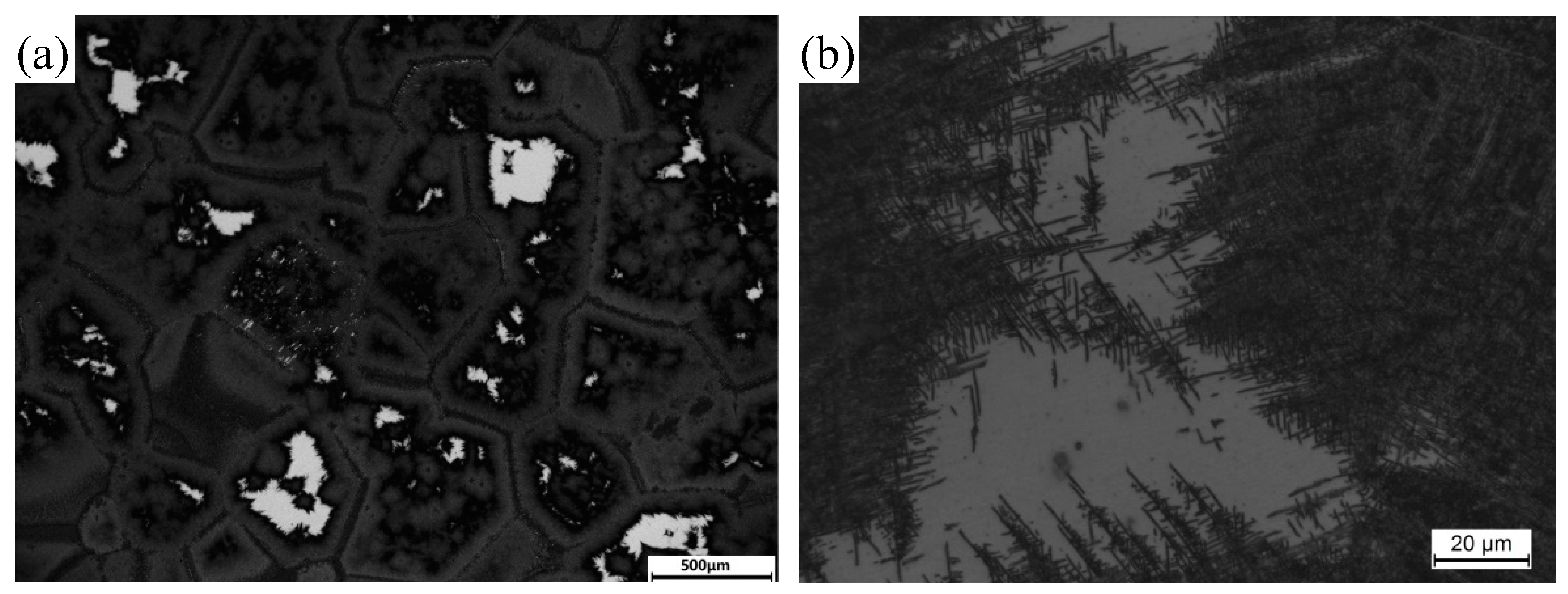 Metals 09 00544 g001