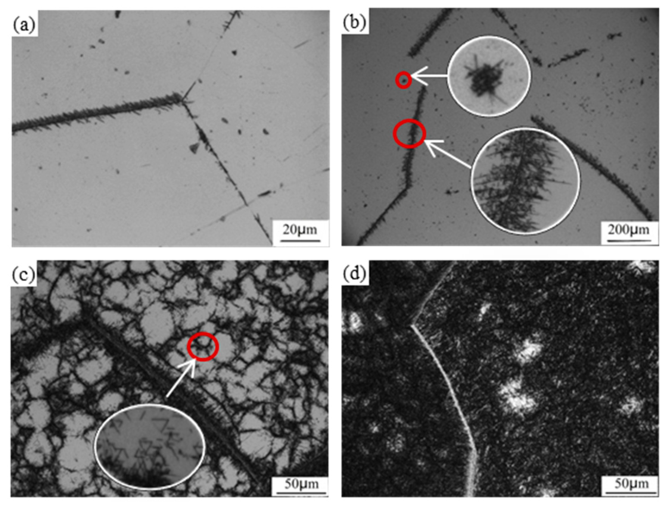 Metals 09 00544 g005