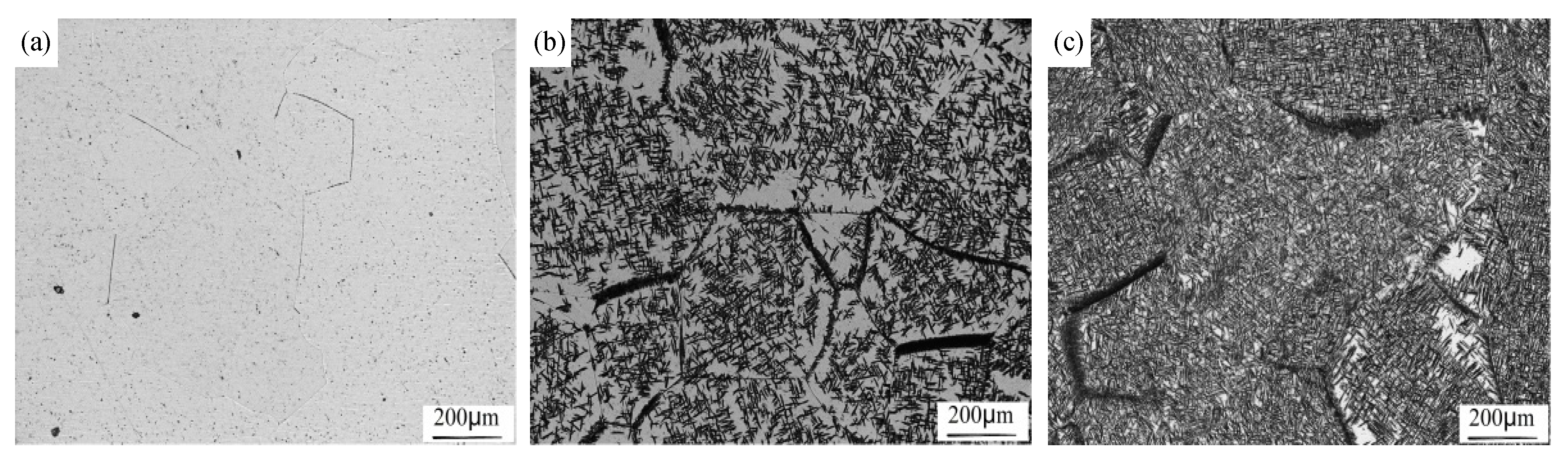 Metals 09 00544 g009