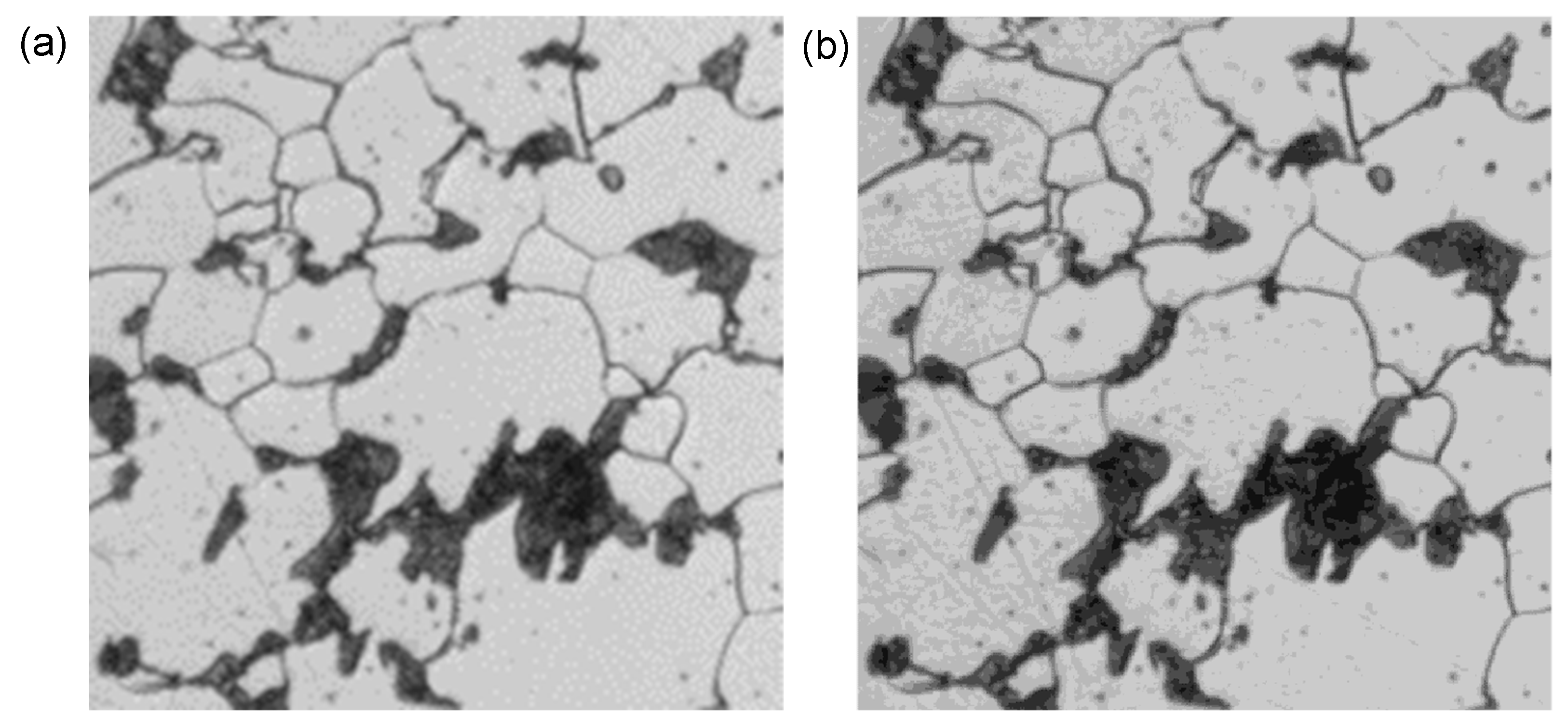 Metals 09 00546 g002 550