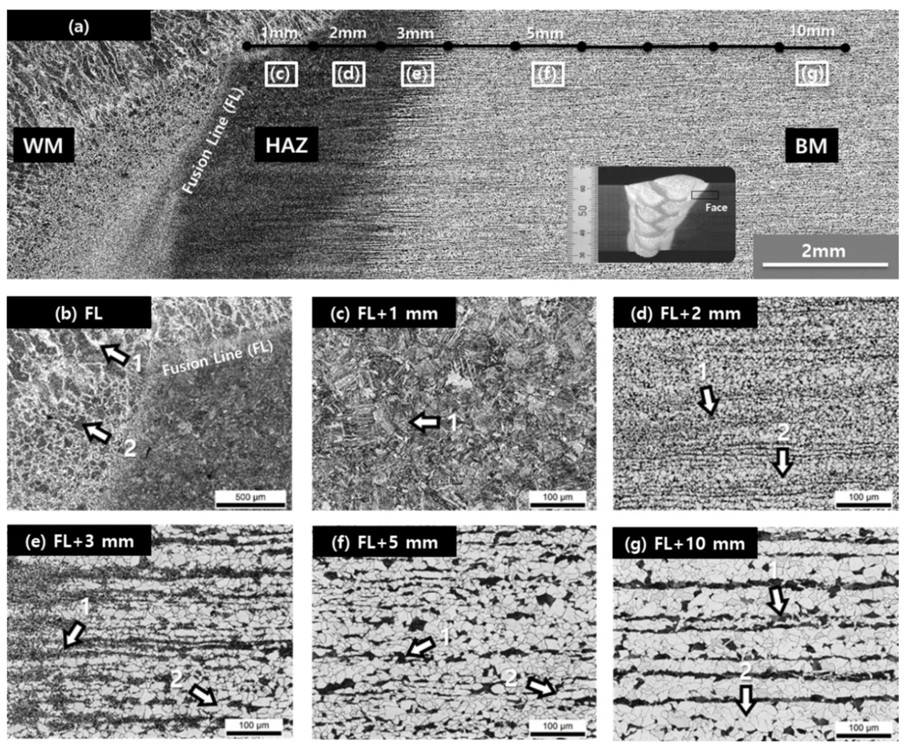 Metals 09 00551 g005 550