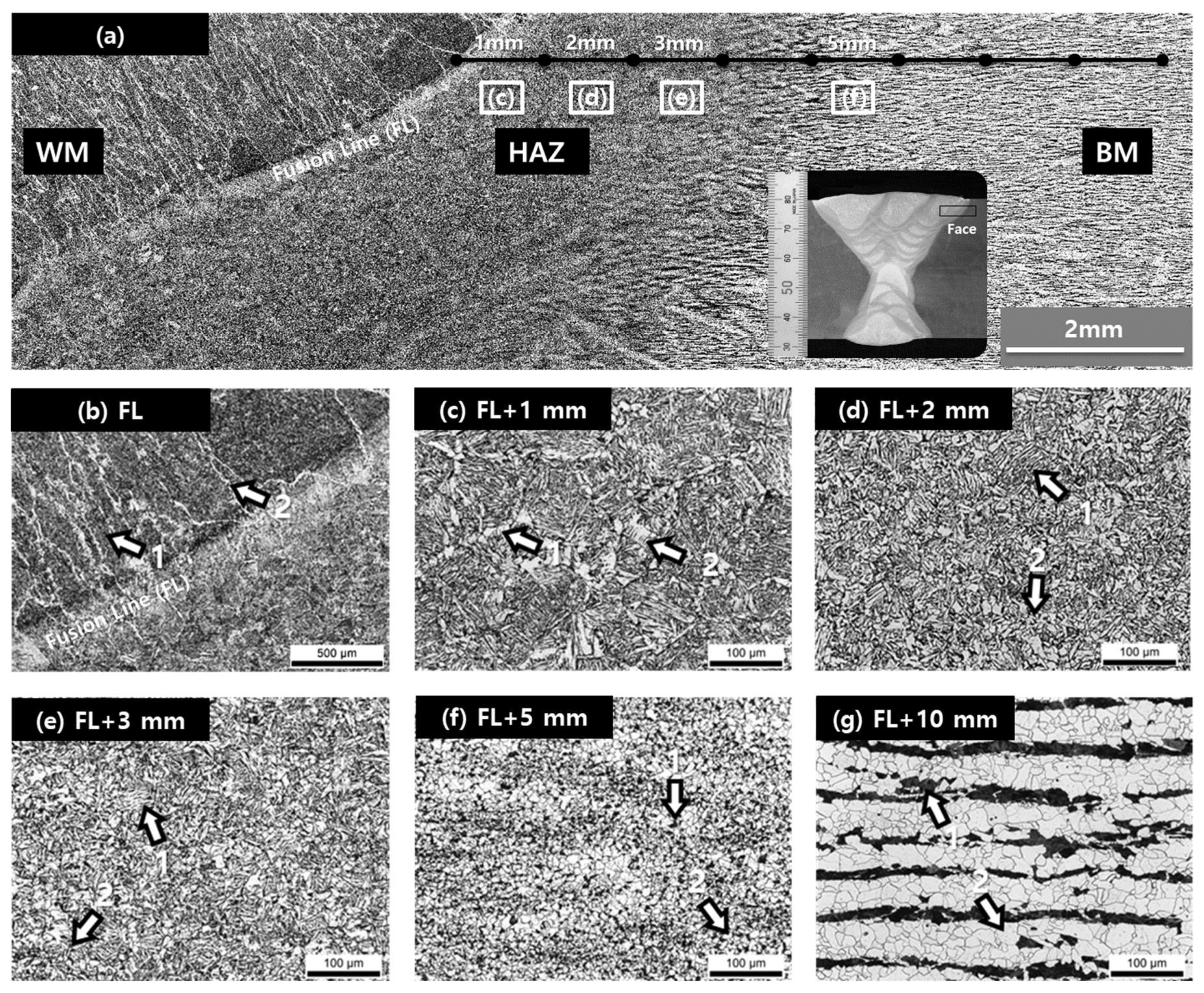 Metals 09 00551 g006 550