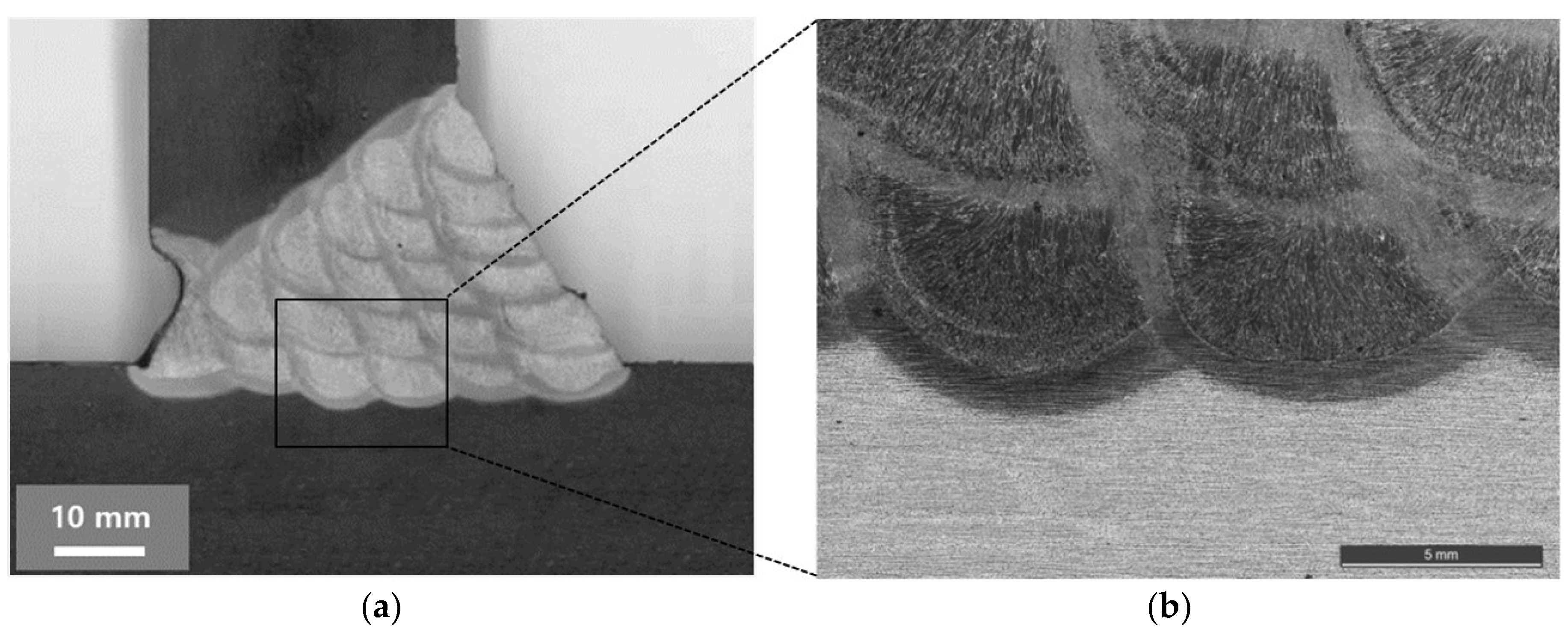 Metals 09 00551 g009 550