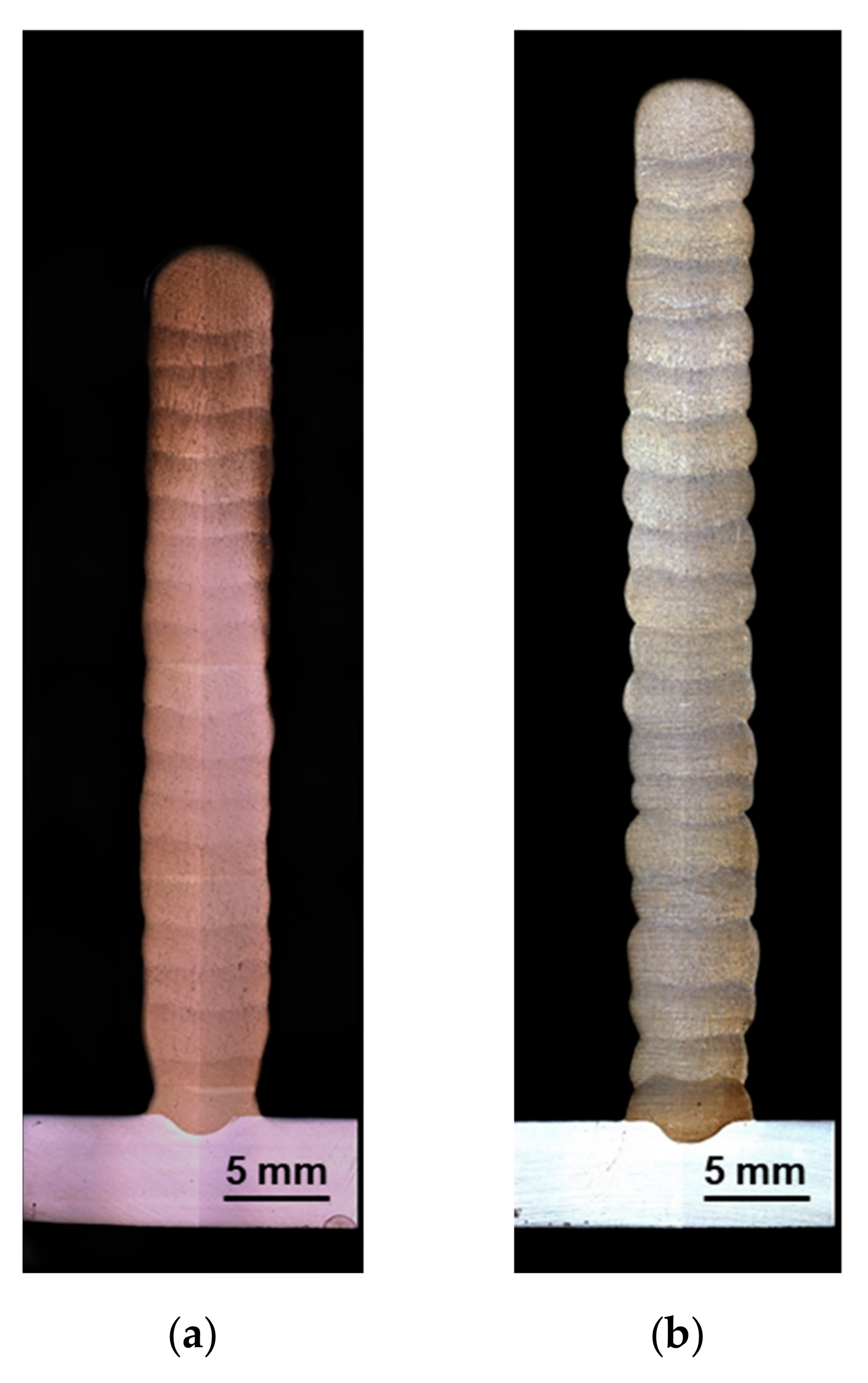 Metals 09 00564 g004 550