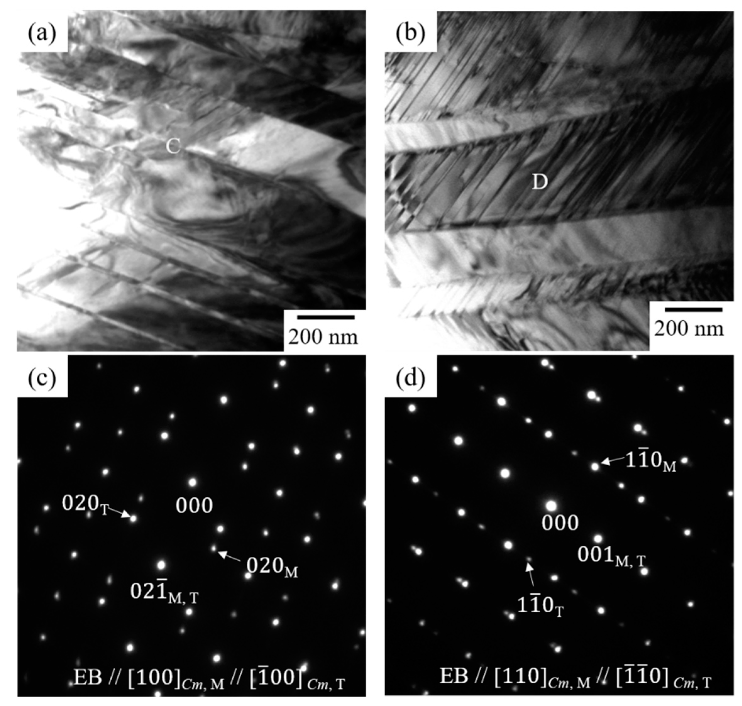 Metals 09 00580 g001