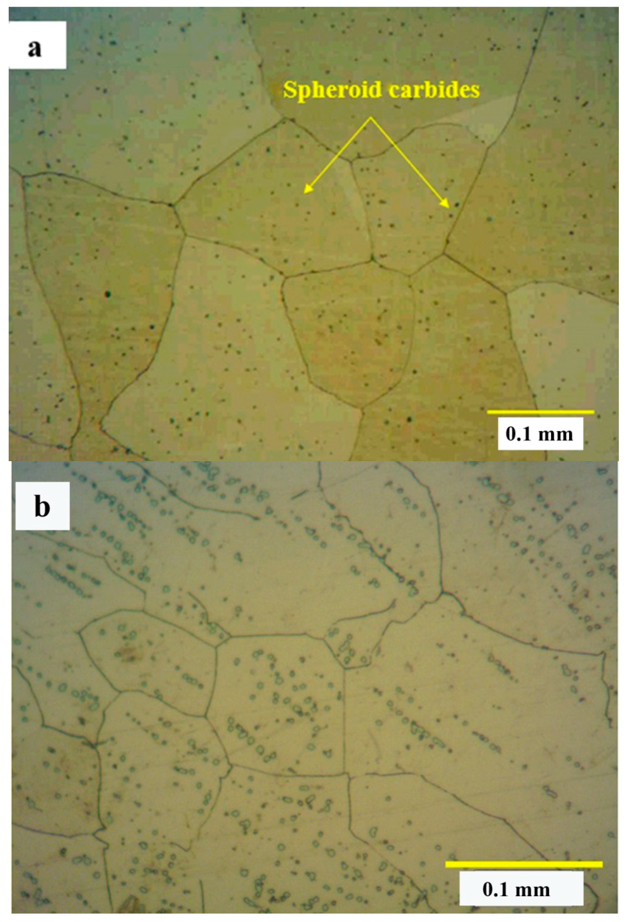 Metals 09 00581 g003