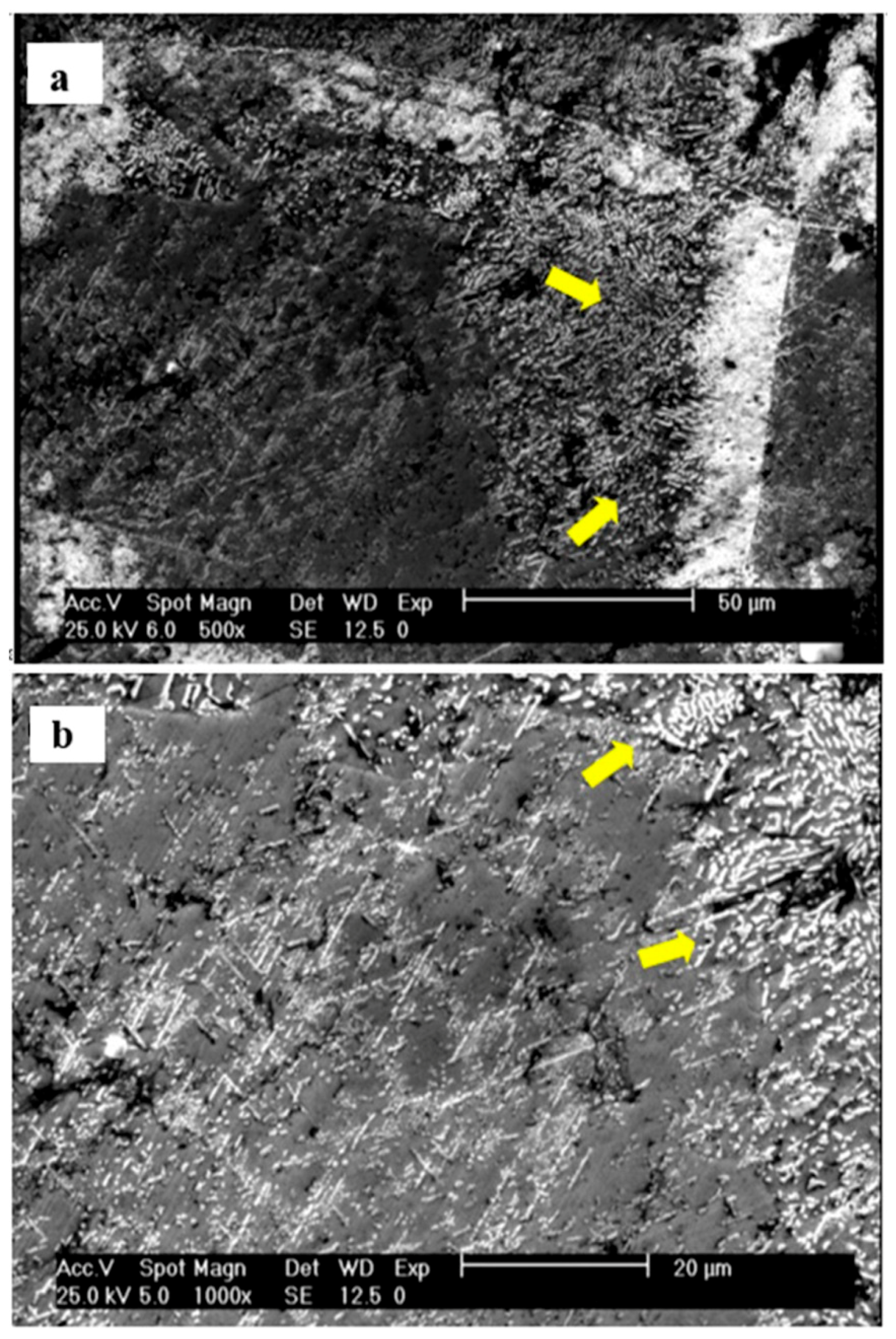 Metals 09 00581 g006