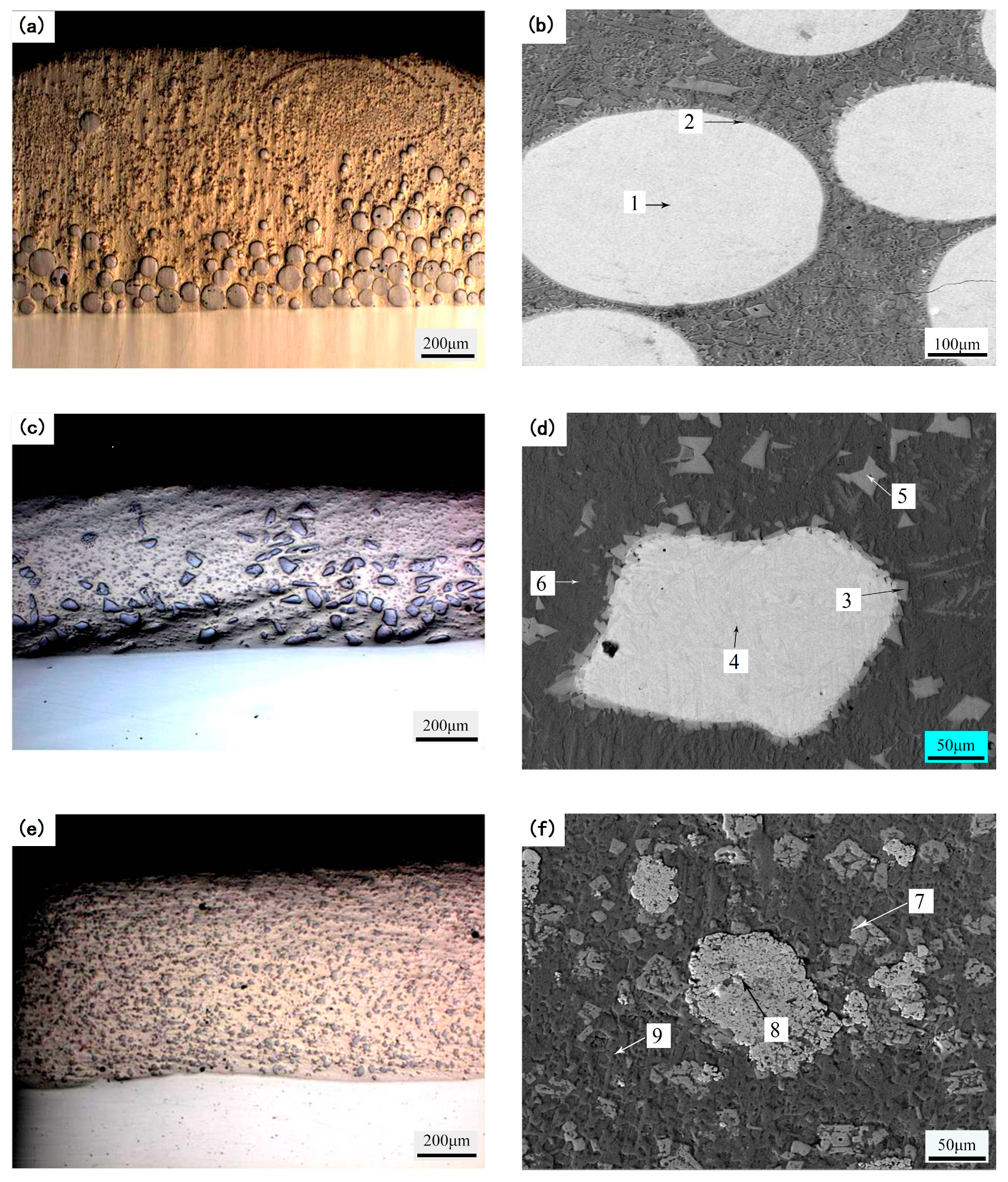 Metals 09 00583 g002