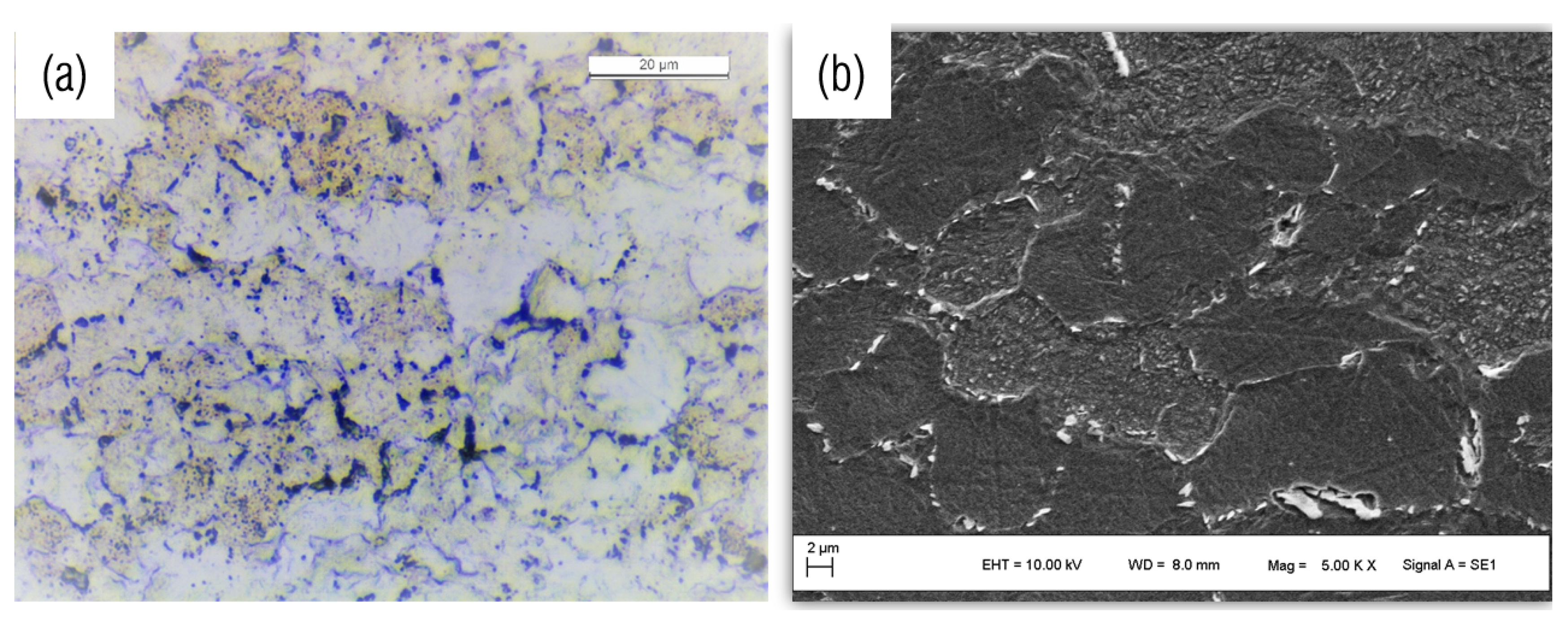 Metals 09 00600 g001