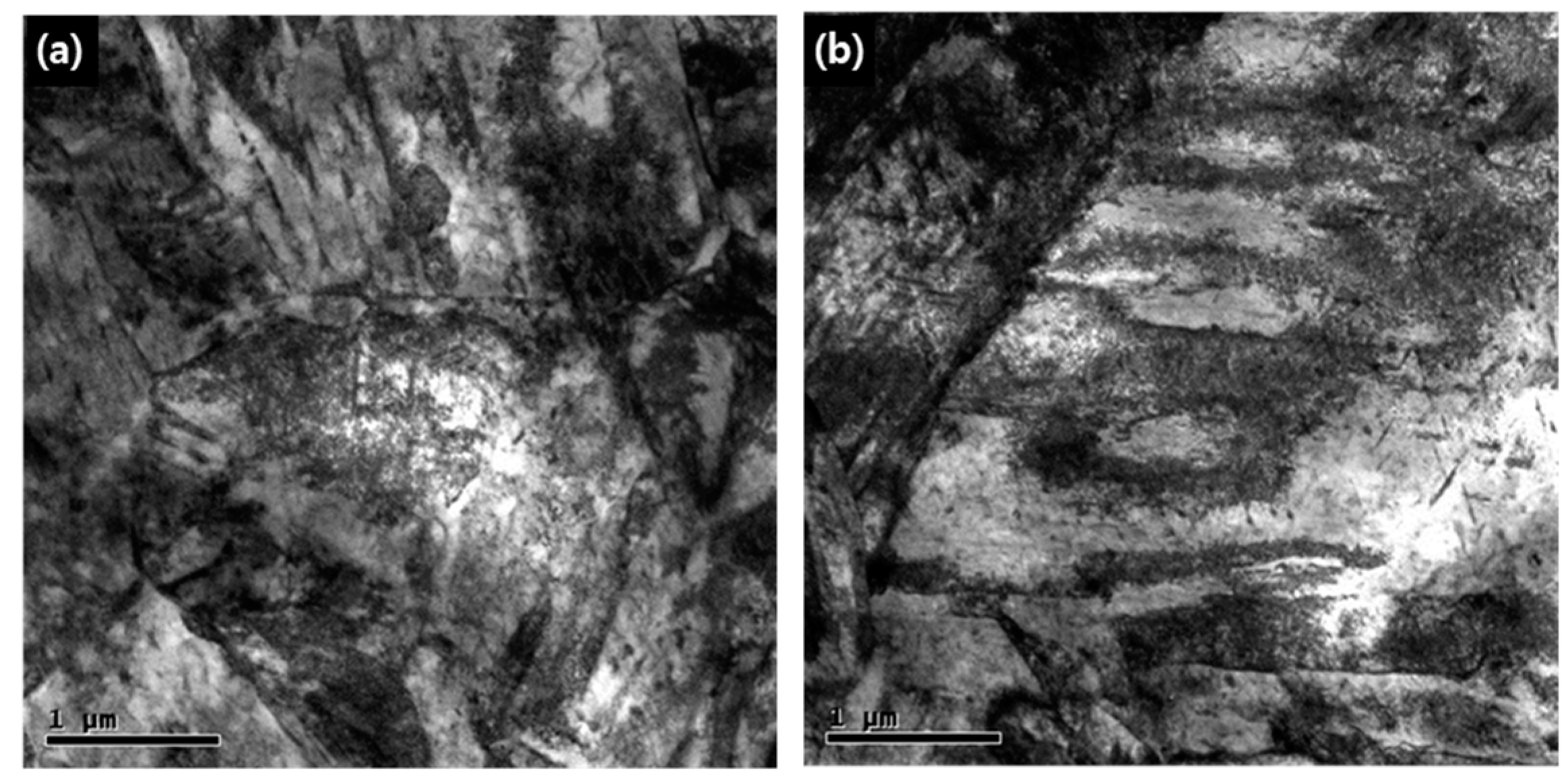 Metals 09 00636 g010