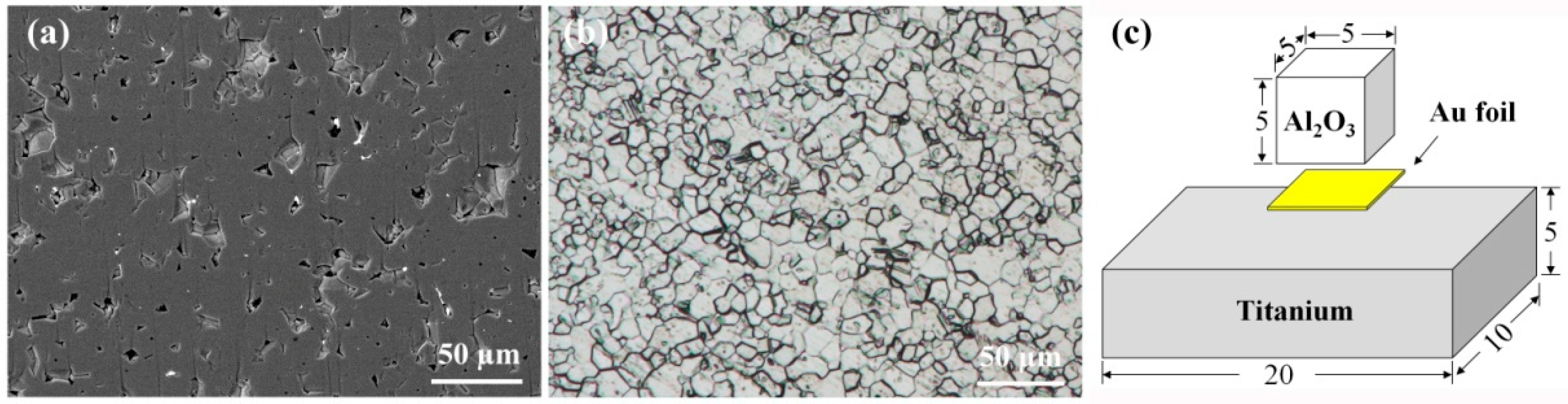 Metals | Free Full-Text | Microstructure Evolution and Mechanical ...