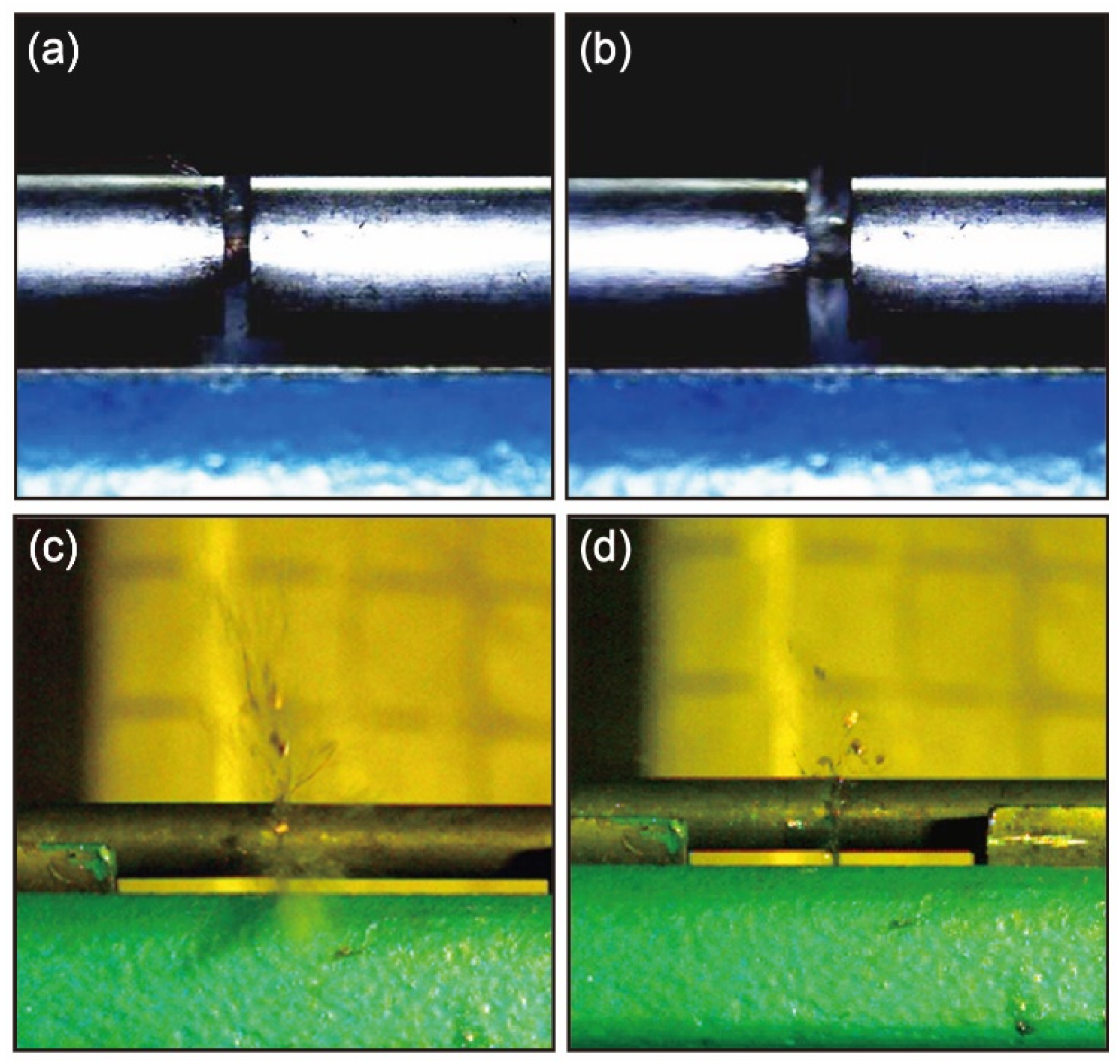 Metals 09 00646 g006