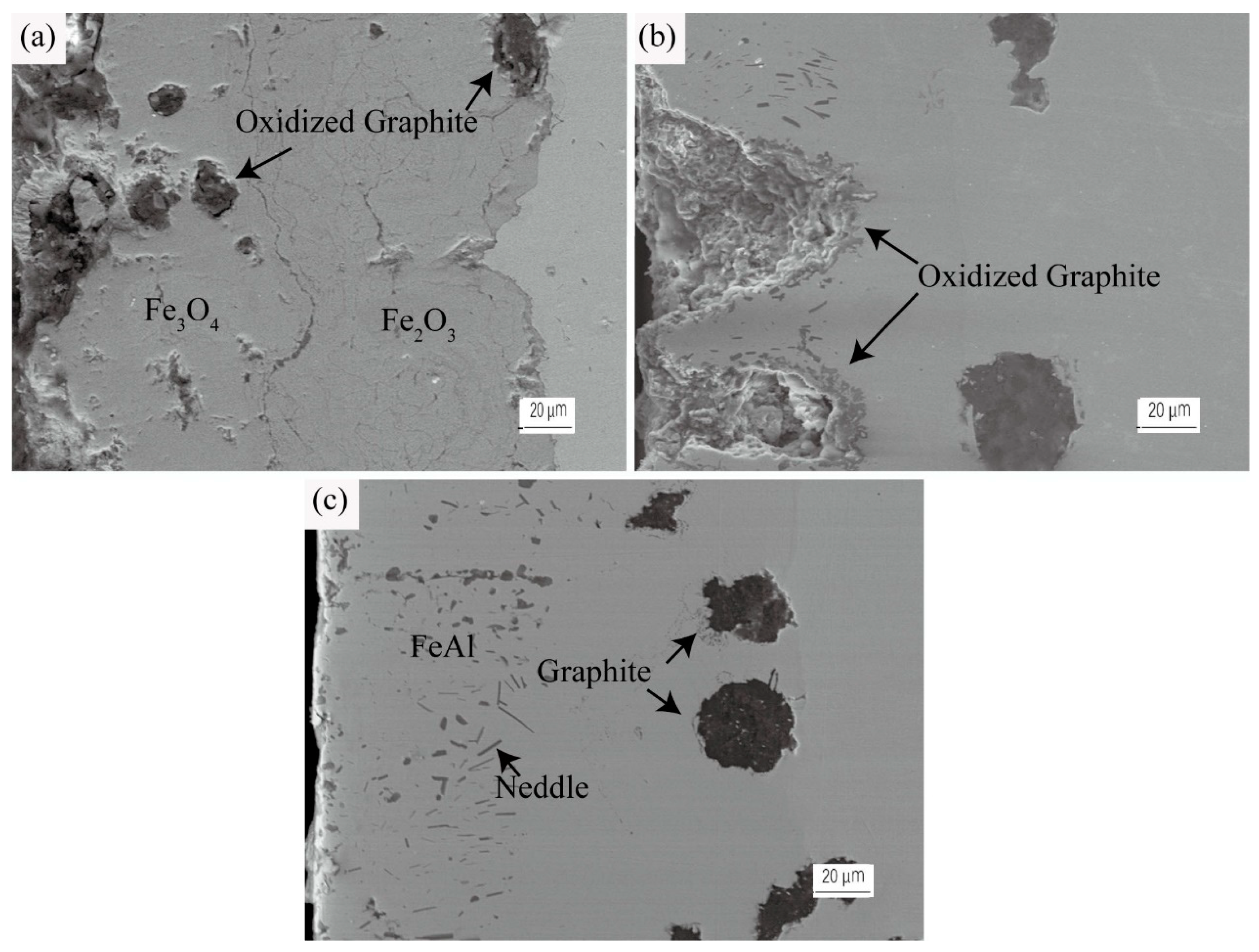 Metals 09 00648 g009