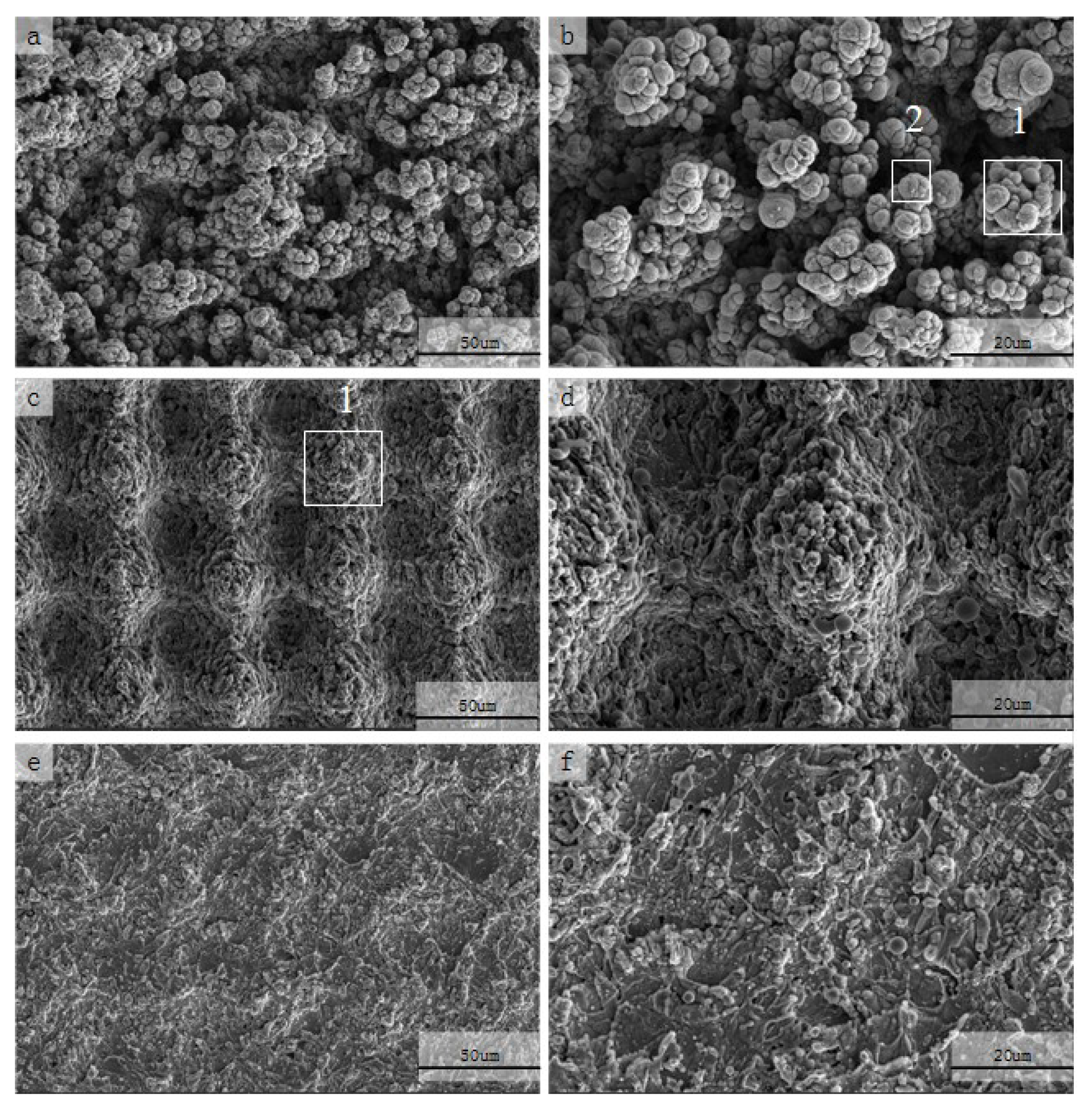 Metals 09 00668 g002