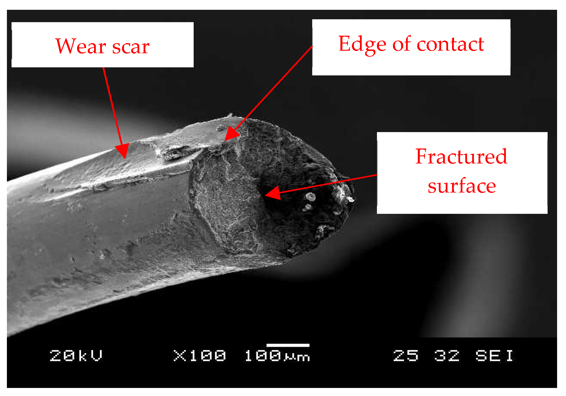 Metals 09 00674 g001 550