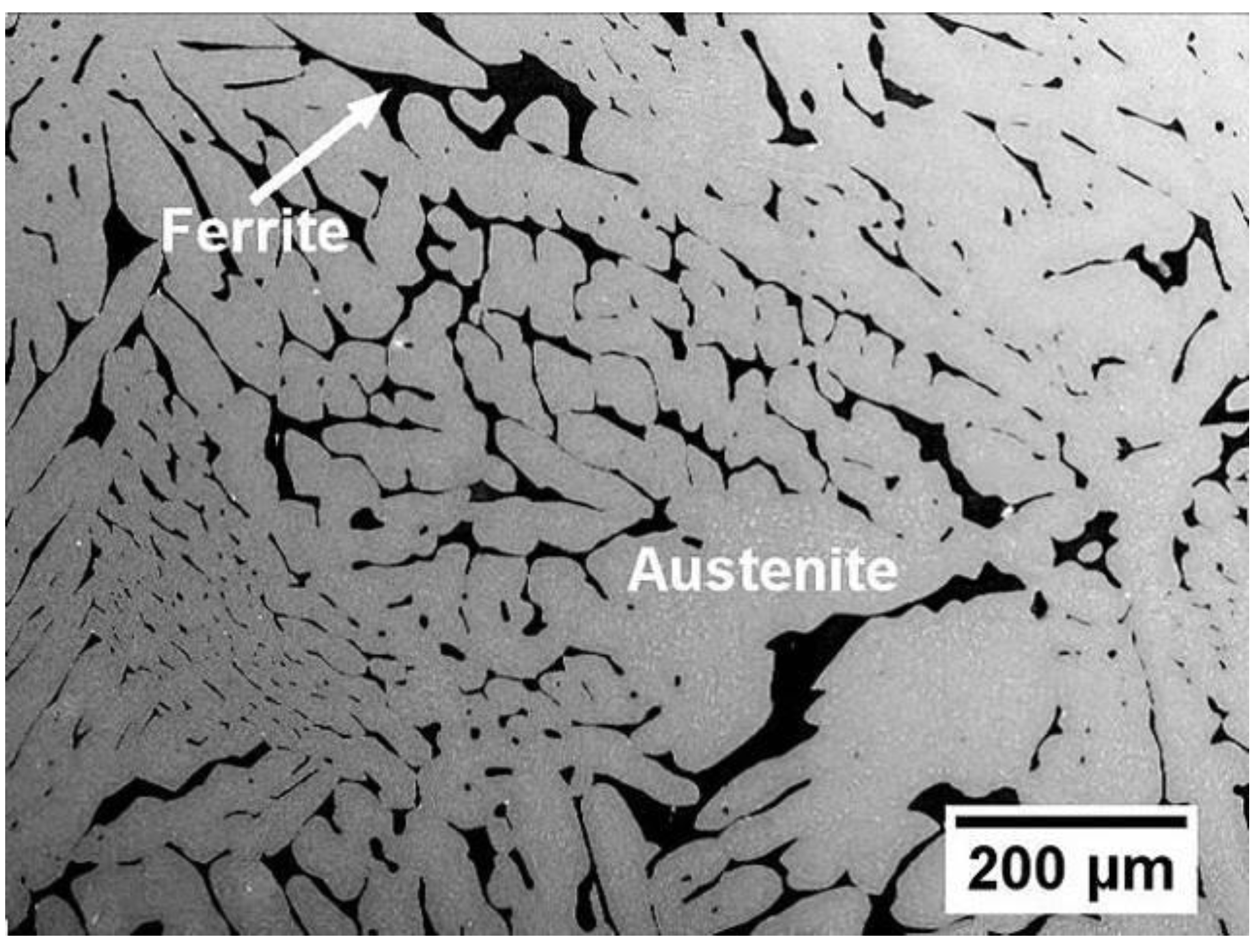 Ferrite Microstructure ferrite-microstructure