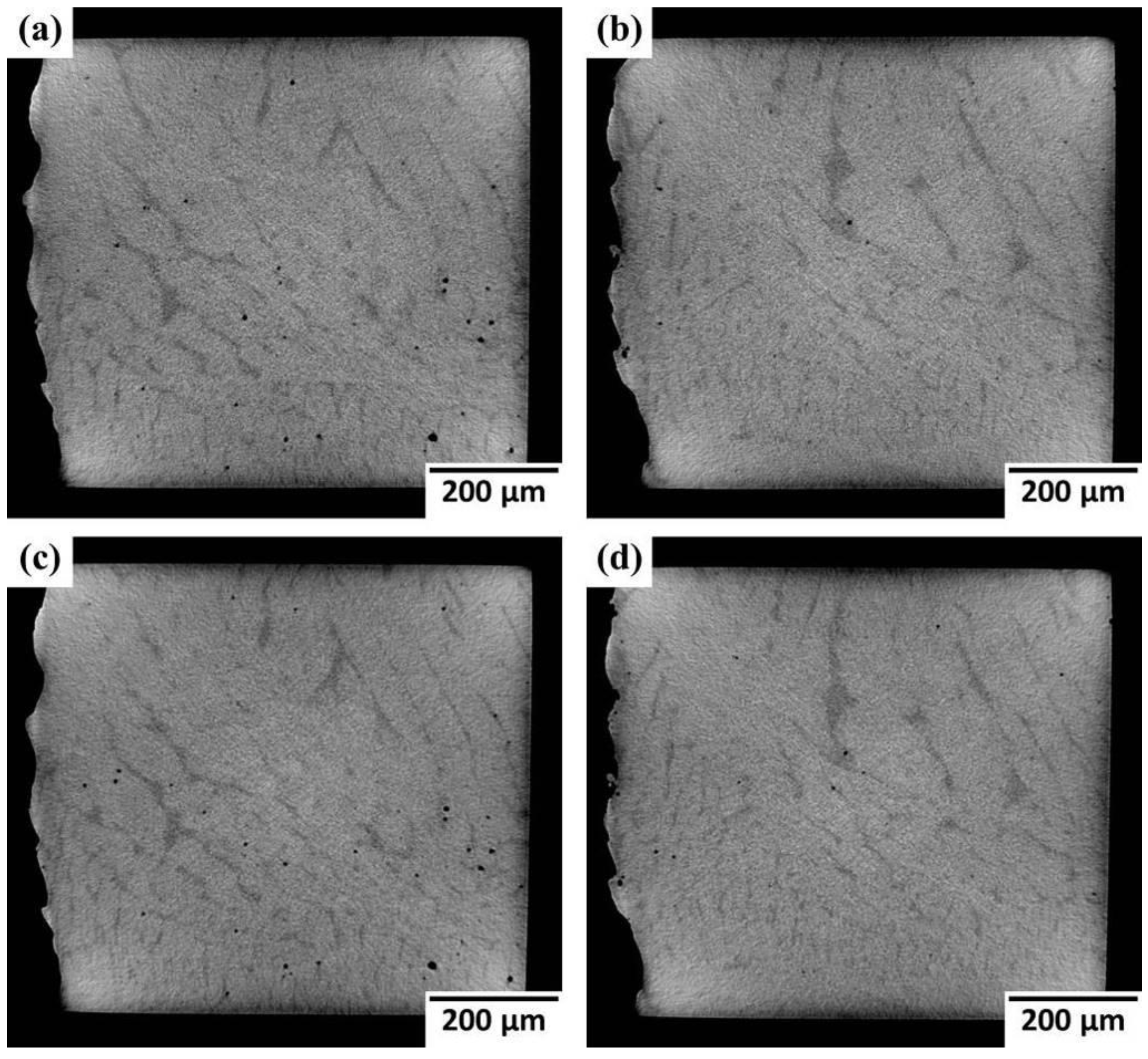 Metals 09 00688 g002