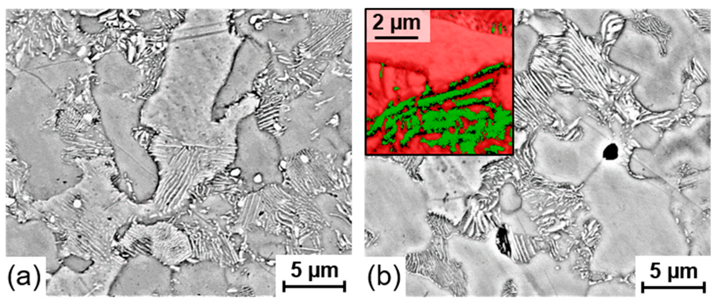 Metals 09 00716 g010