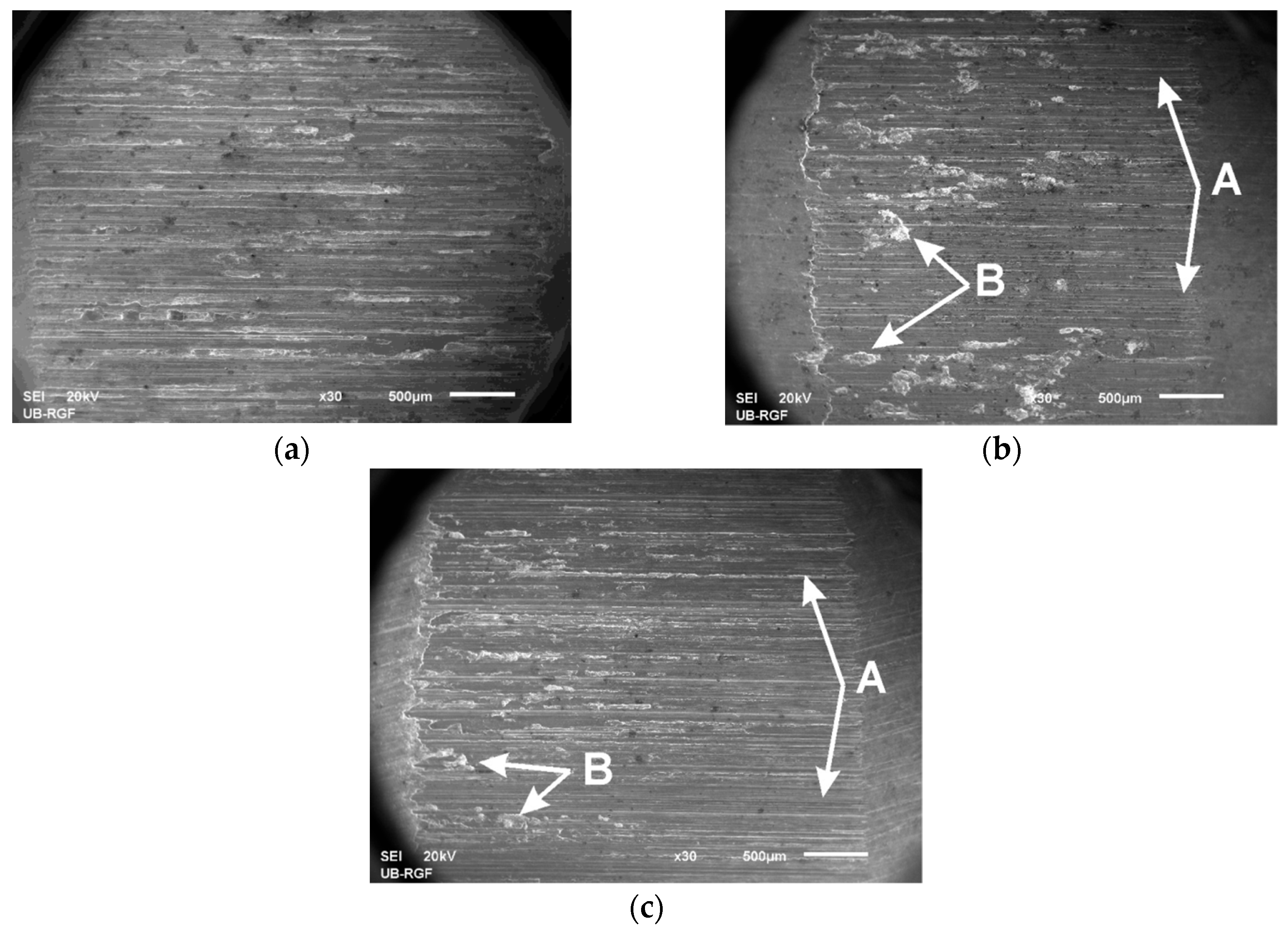 Metals 09 00717 g007 550