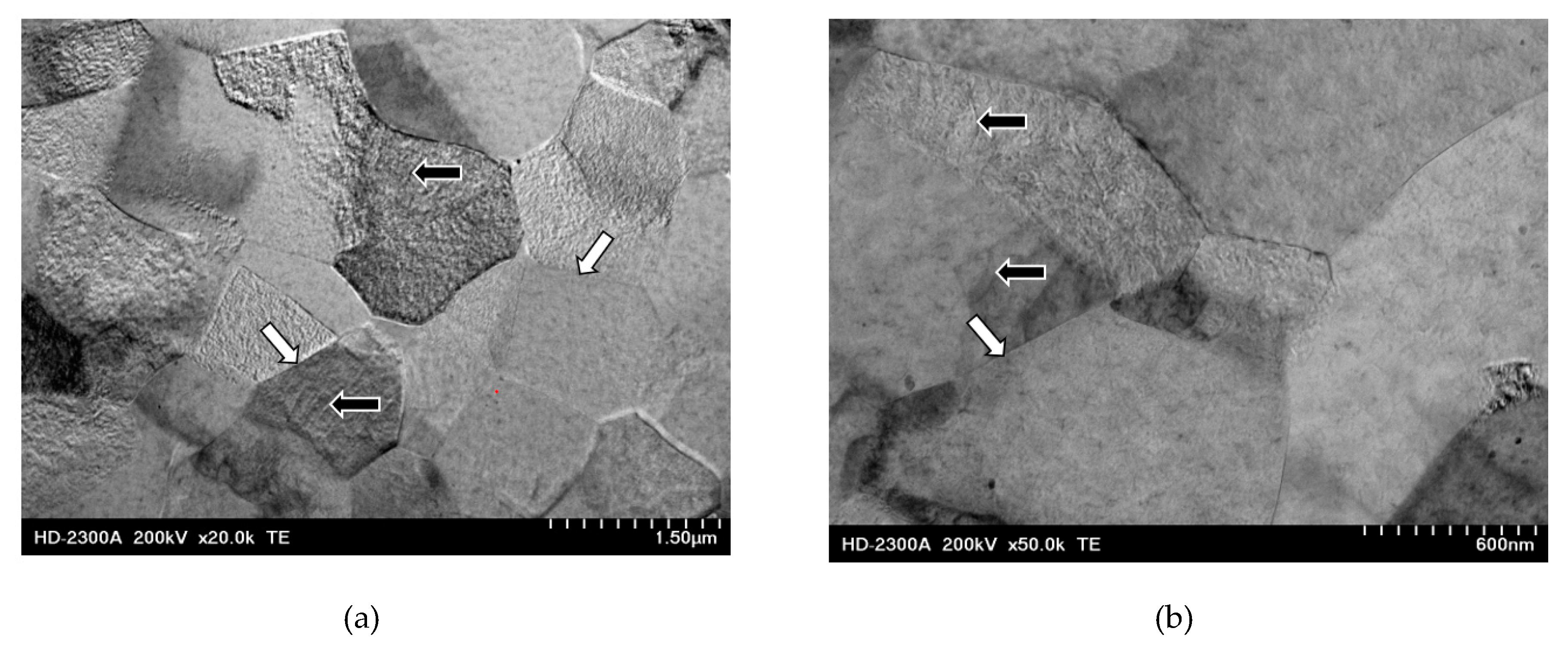 Metals 09 00724 g009