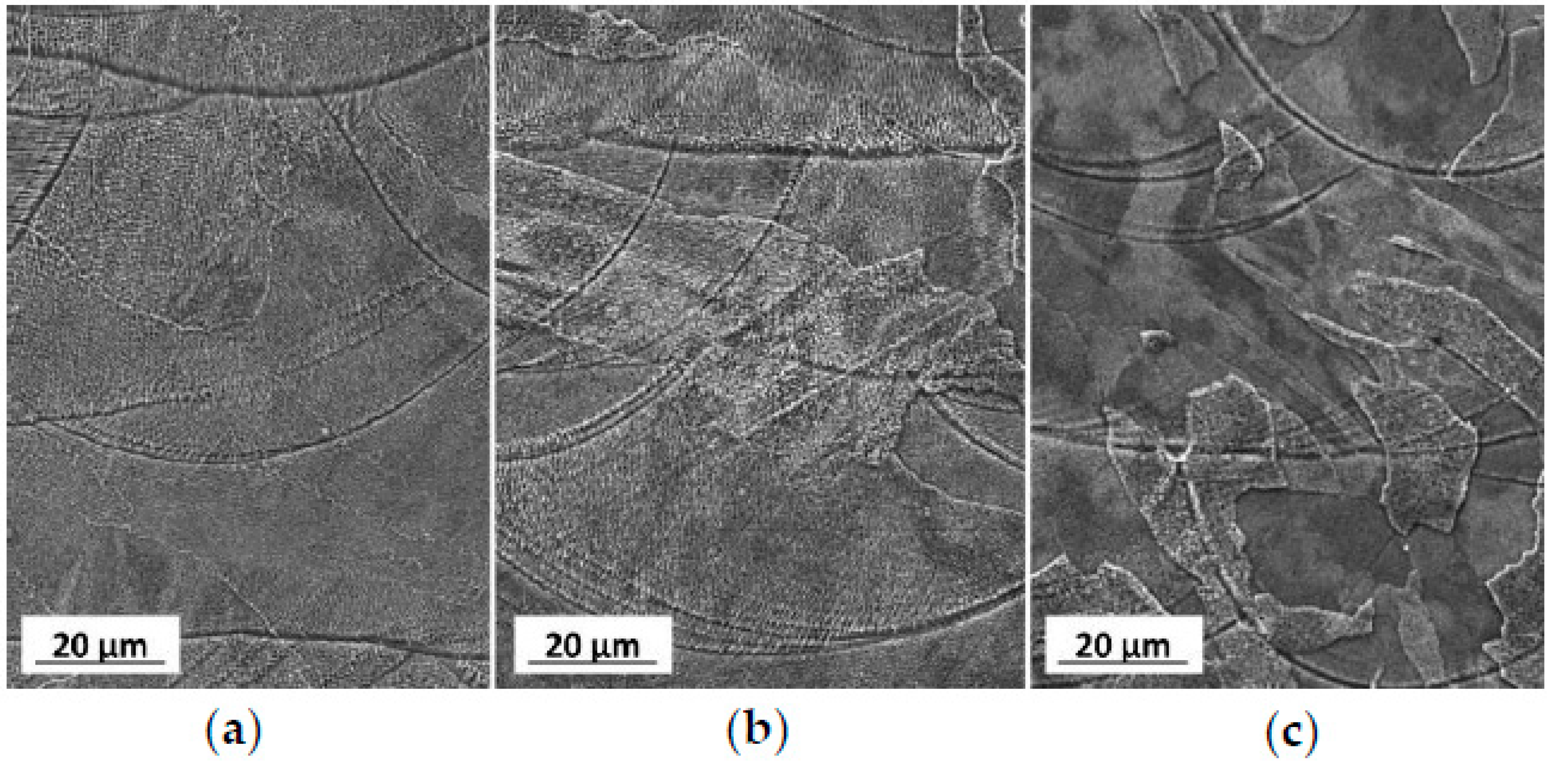Metals 09 00731 g013