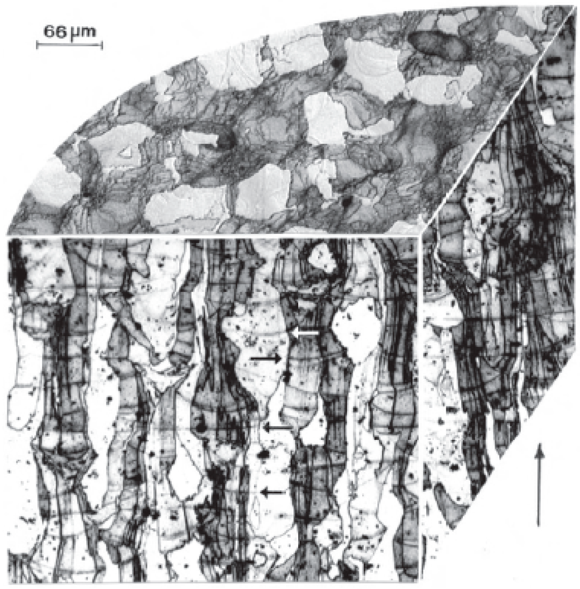 Metals 09 00731 g016