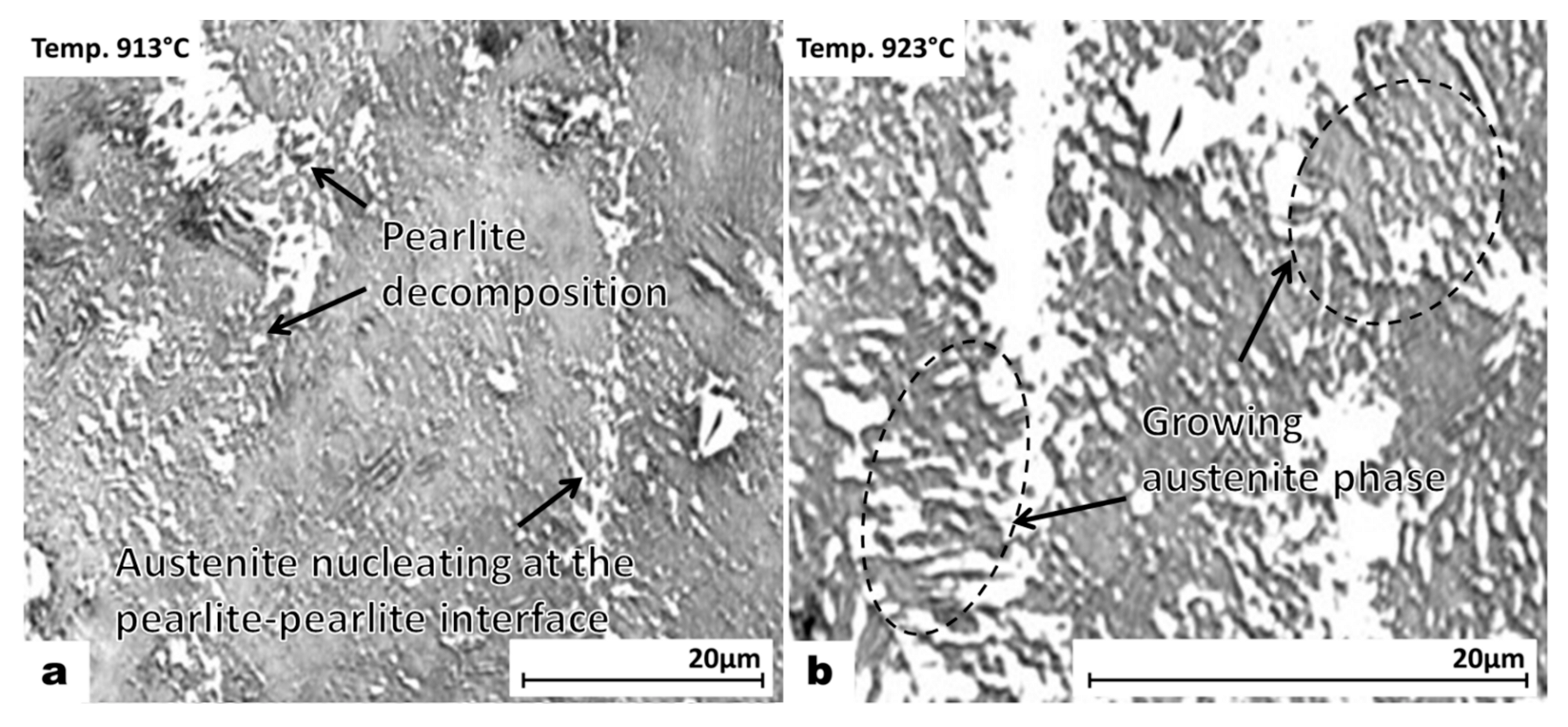 Coarse Pearlite Microstructure