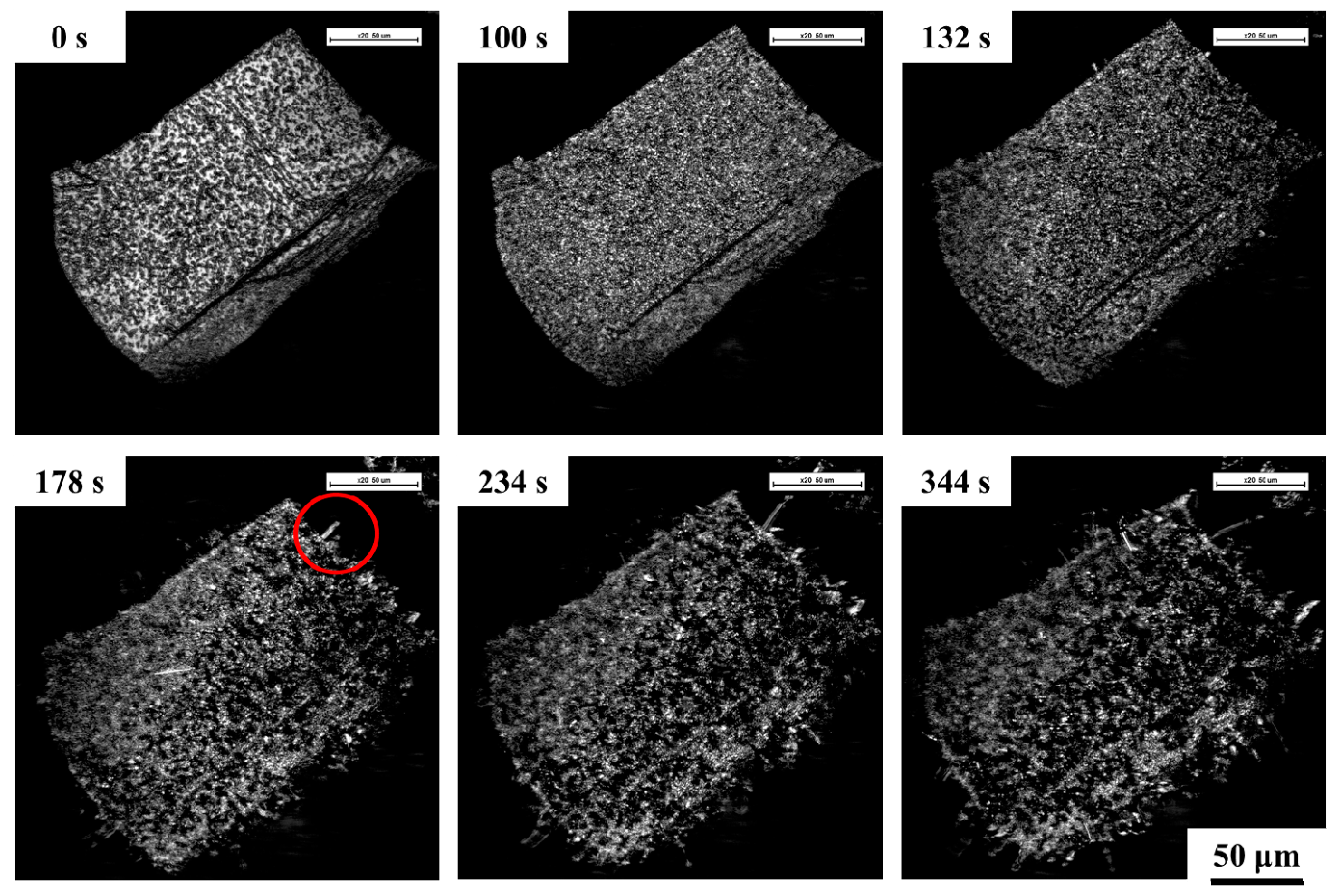 Metals 09 00750 g006 Metals 09 00750 g006