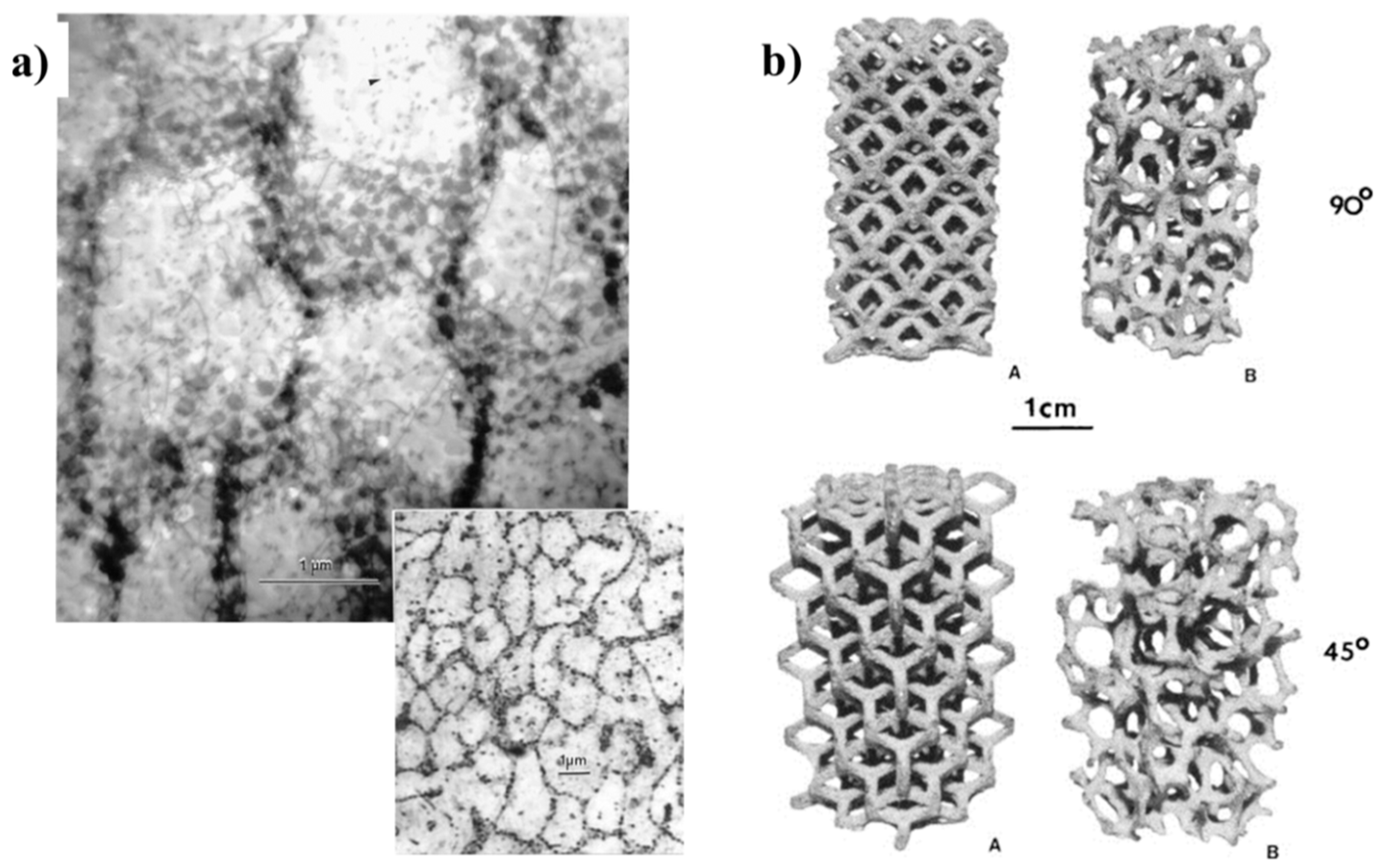 Metals 09 00756 g007 Metals 09 00756 g007