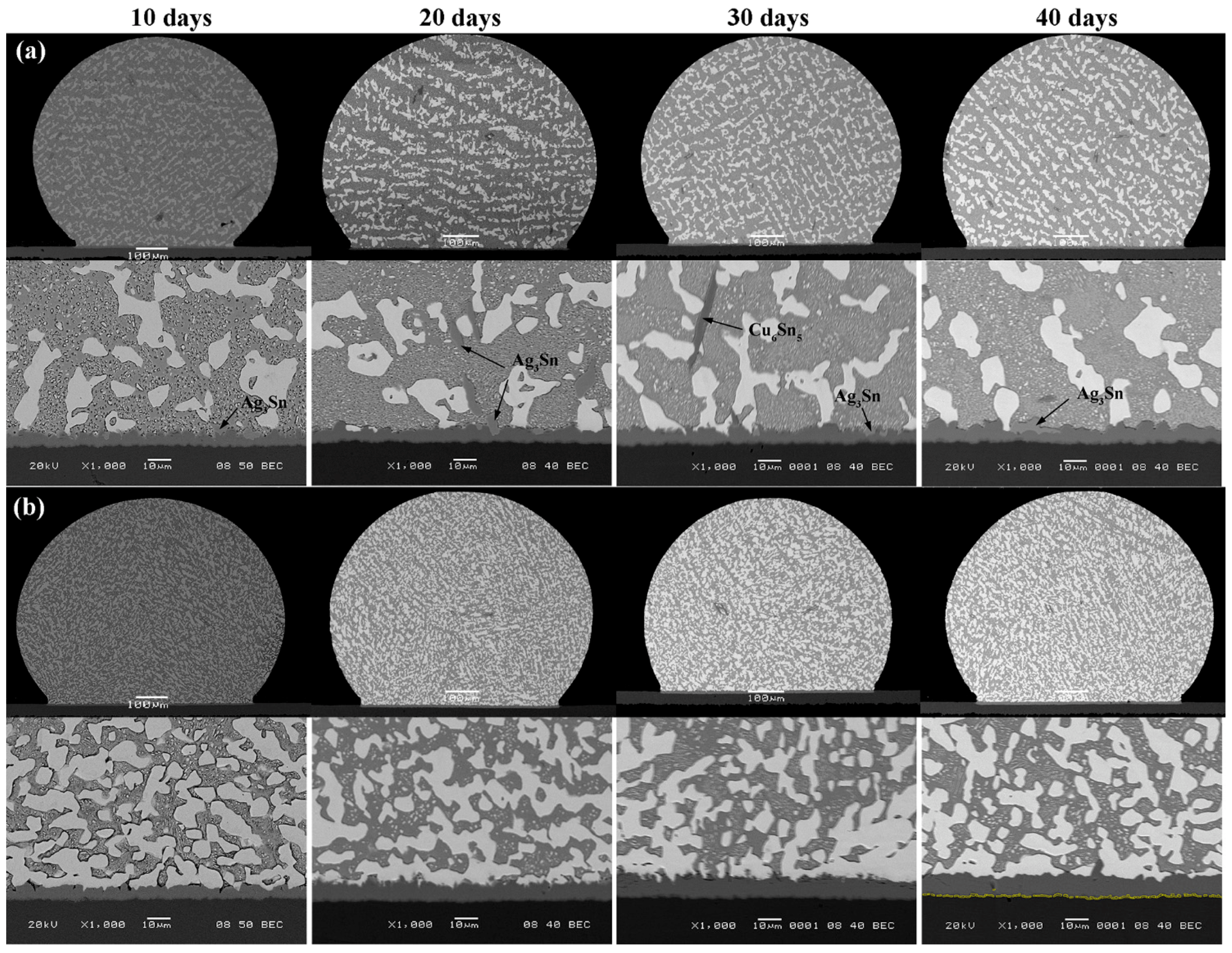 Metals 09 00791 g004 550