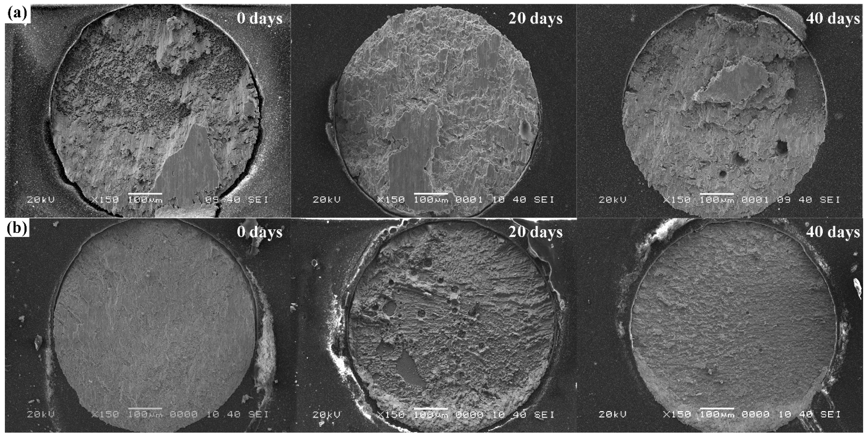 Metals 09 00791 g009 550