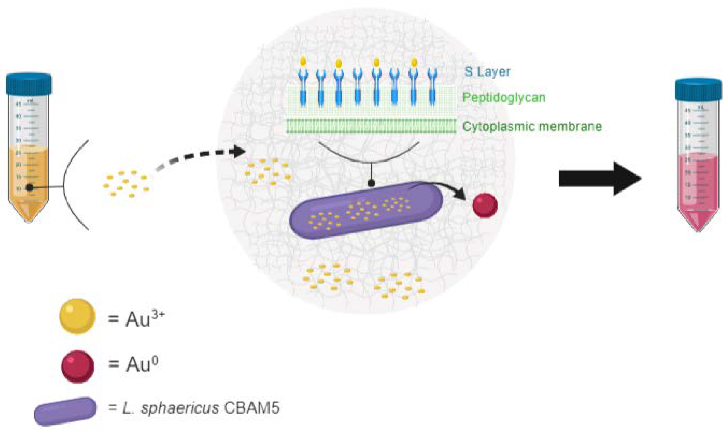 Metals 09 00818 g006