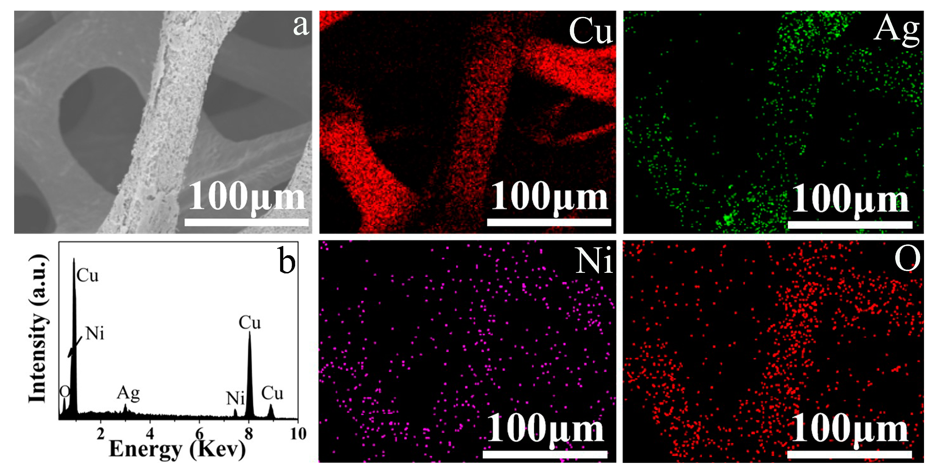 Metals 09 00826 g002
