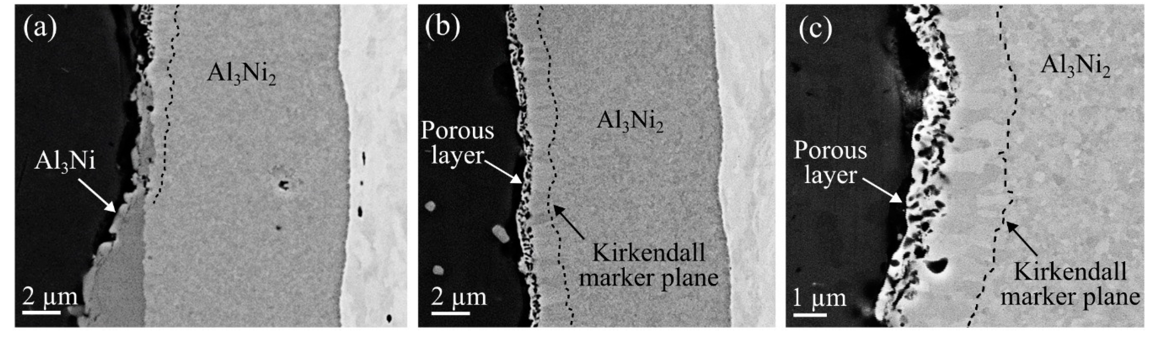 Metals 09 00827 g008