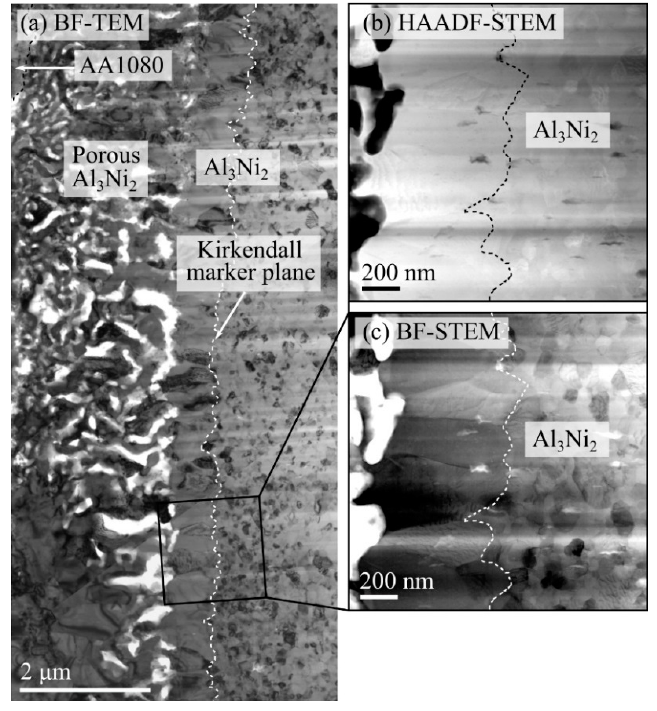 Metals 09 00827 g009