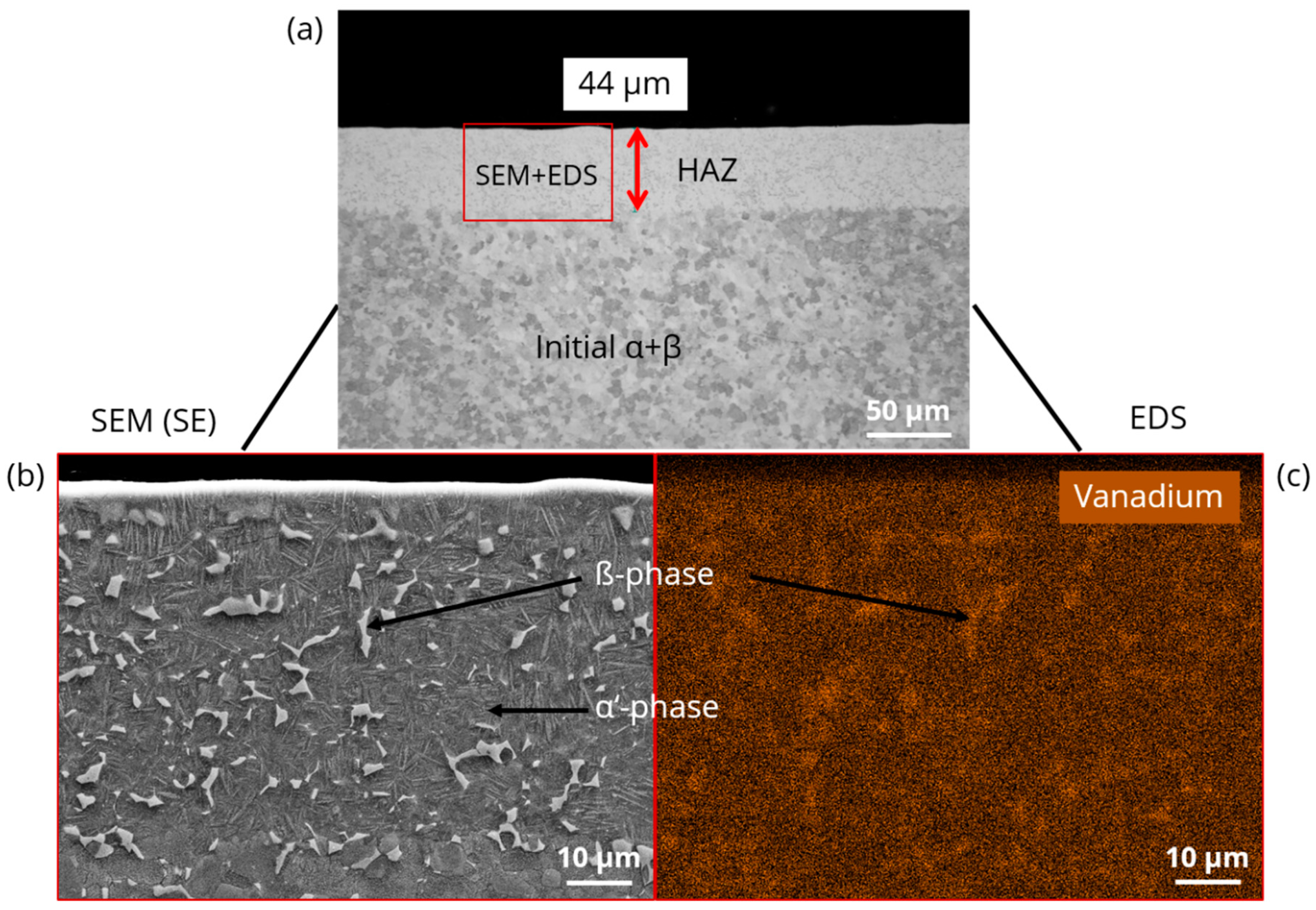 Metals 09 00843 g004