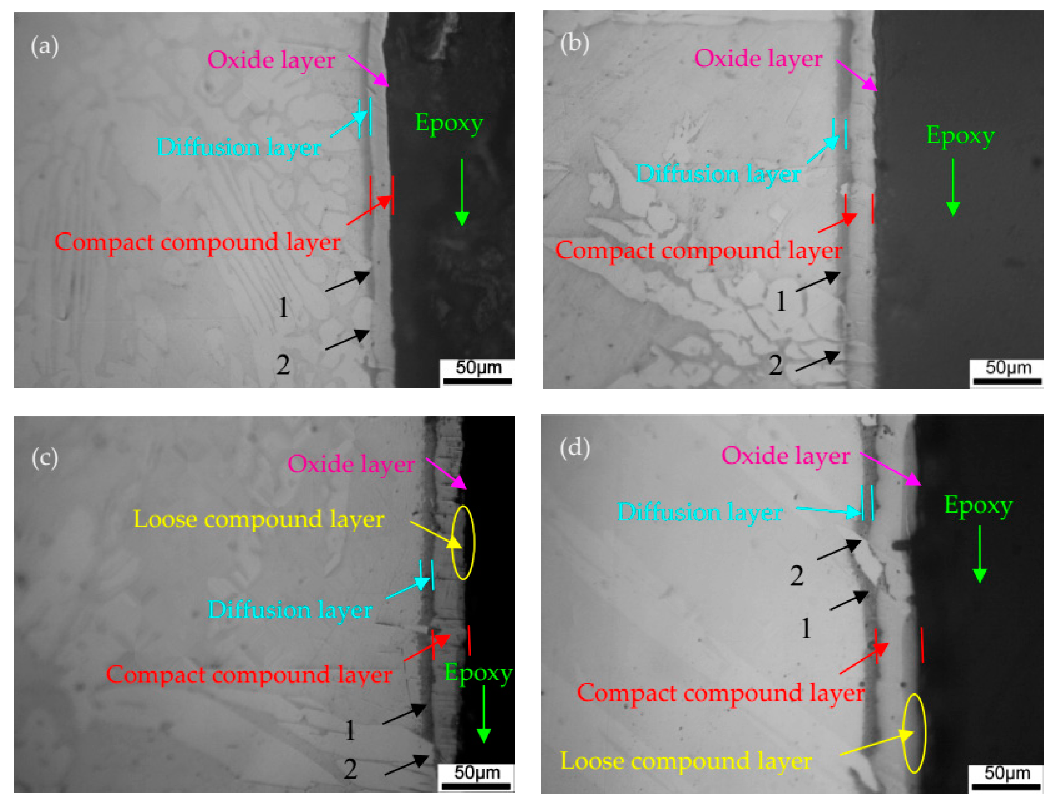 Metals 09 00848 g001