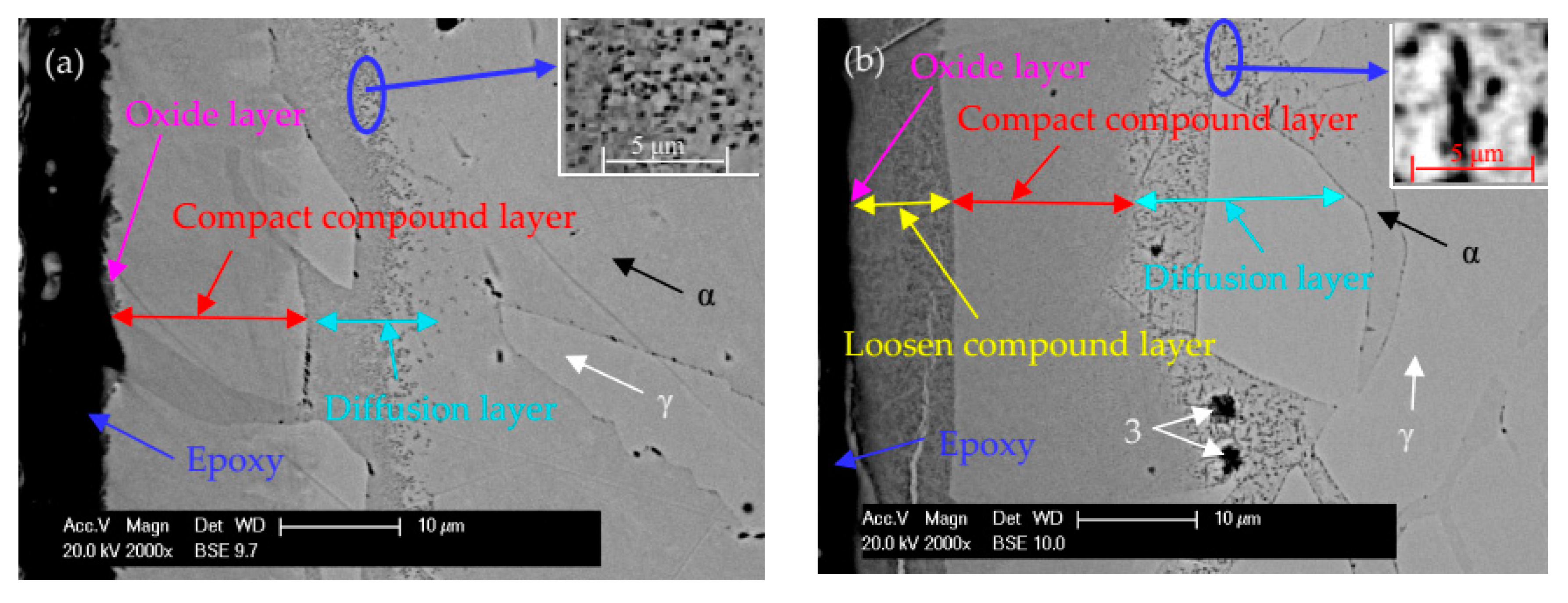 Metals 09 00848 g002