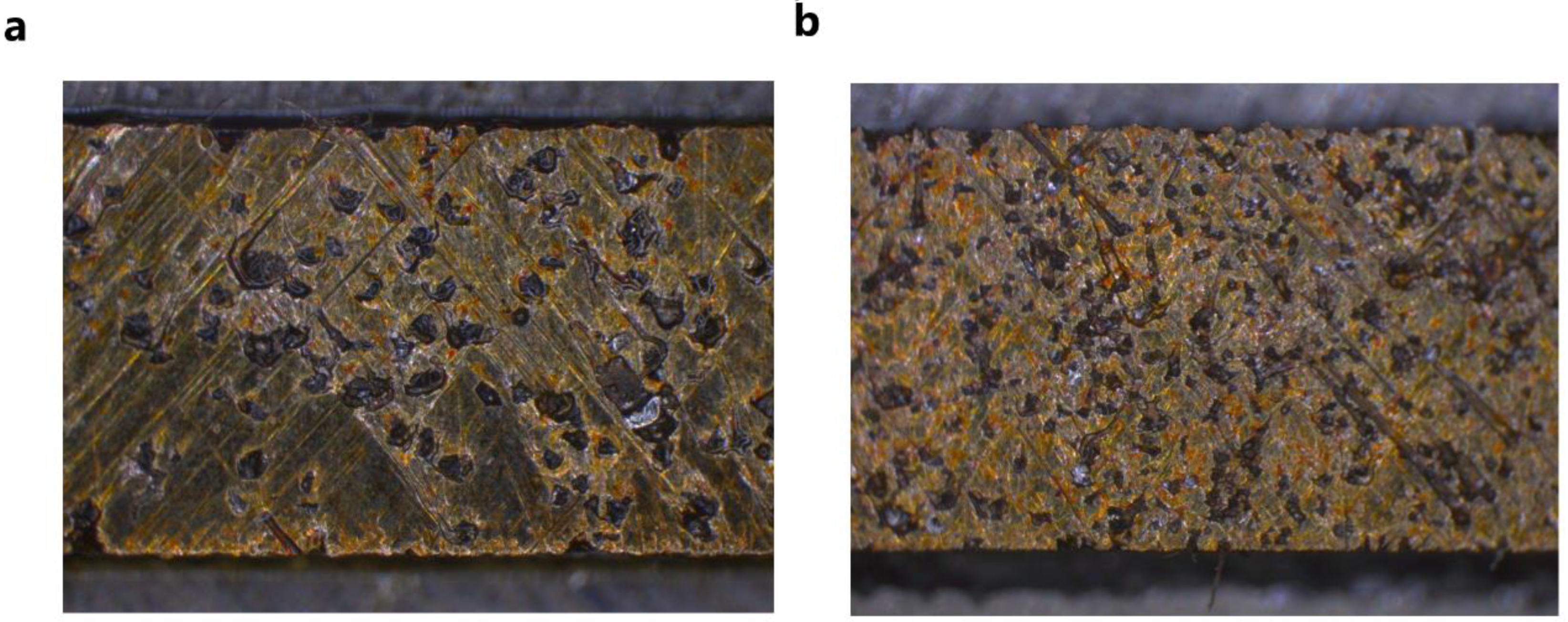 Metals 09 00860 g003