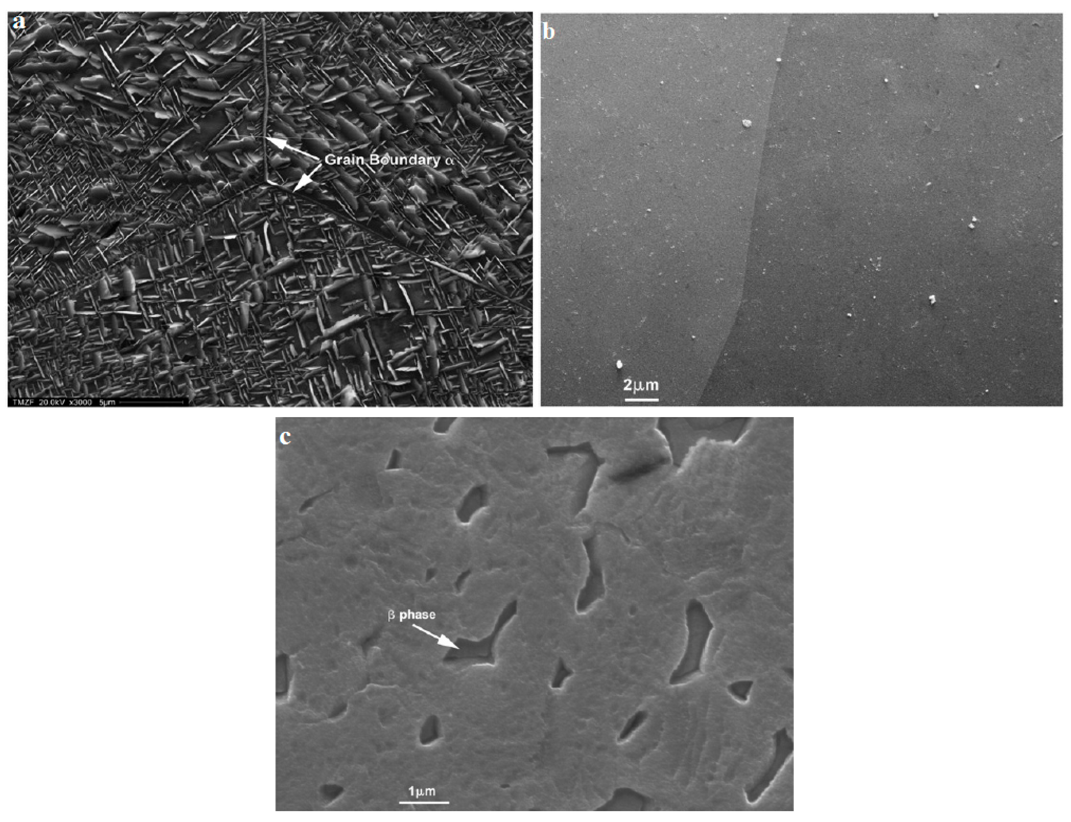 Metals 09 00878 g003