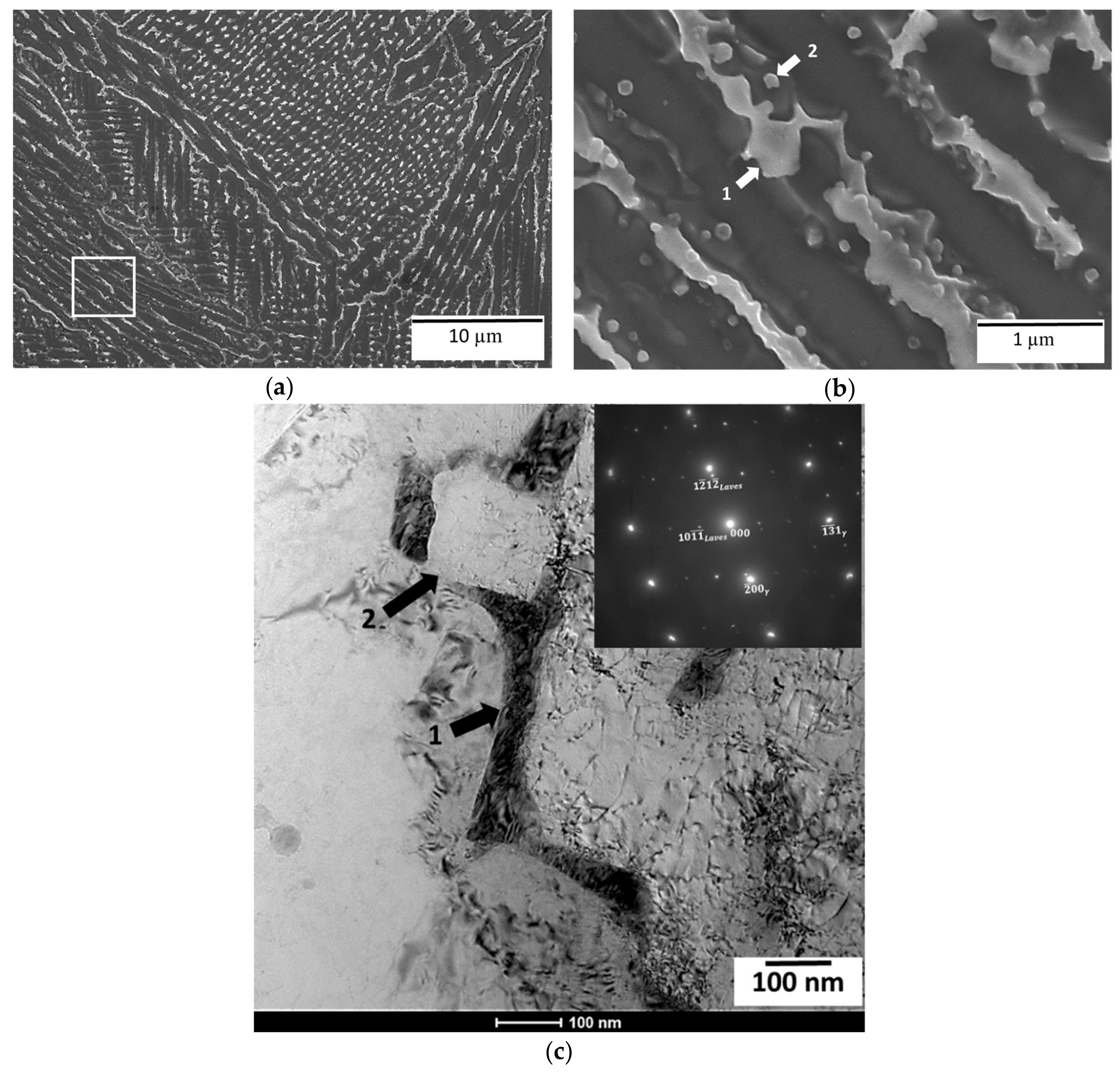 Metals 09 00881 g002